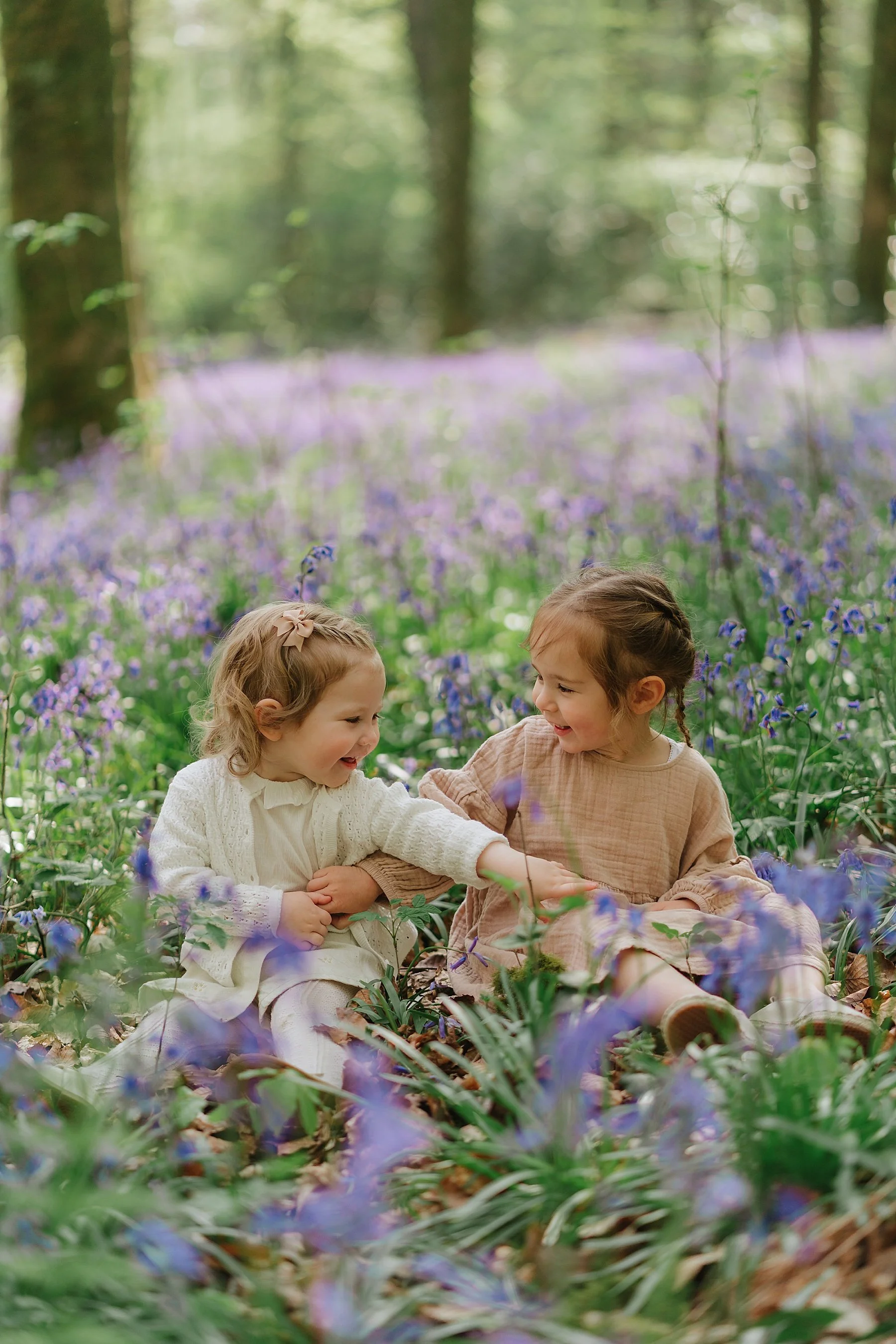 hampshire bluebell mini photo sessions
