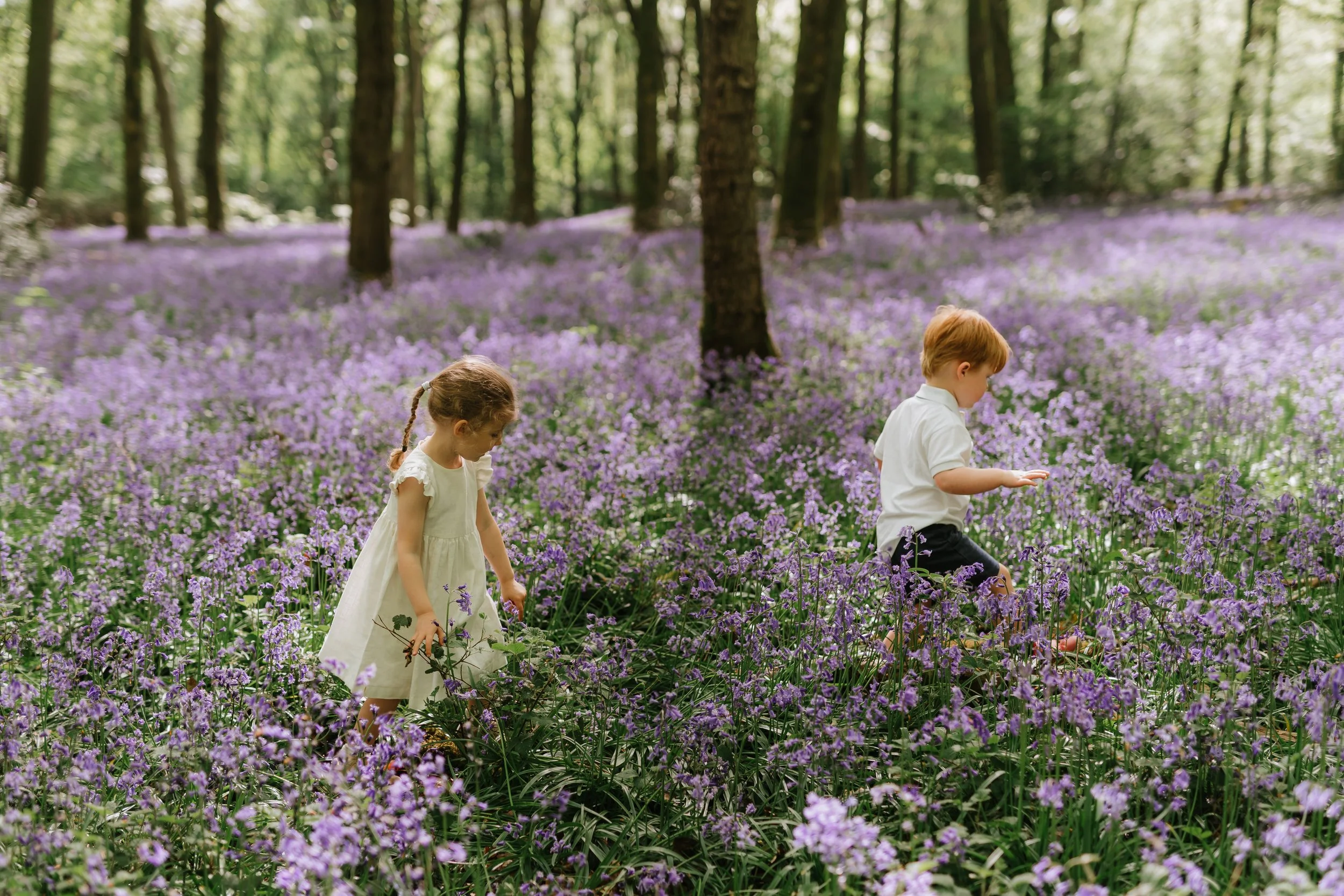 Nicola Streader Photography-1.jpg