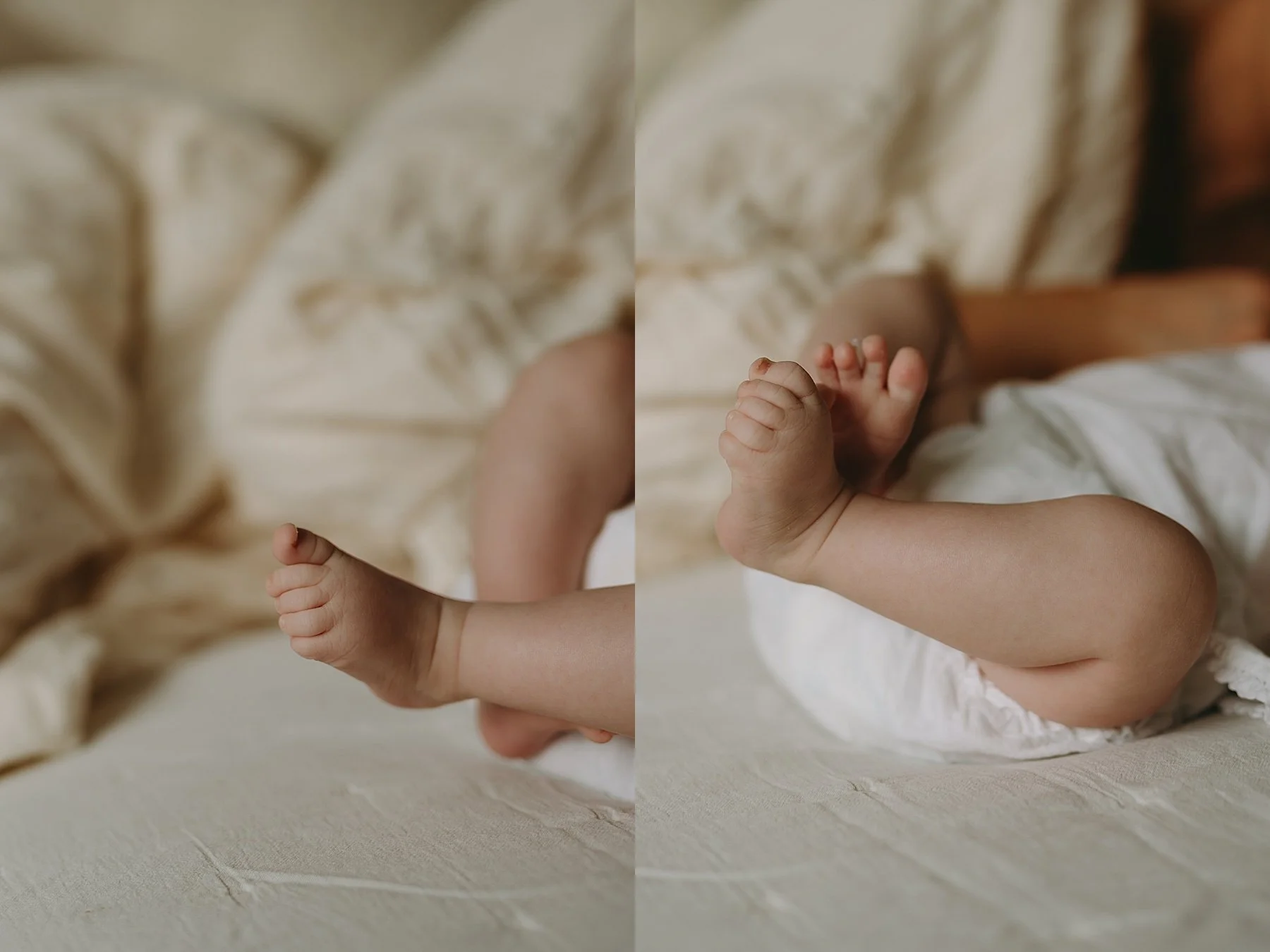 hampshire baby photographer