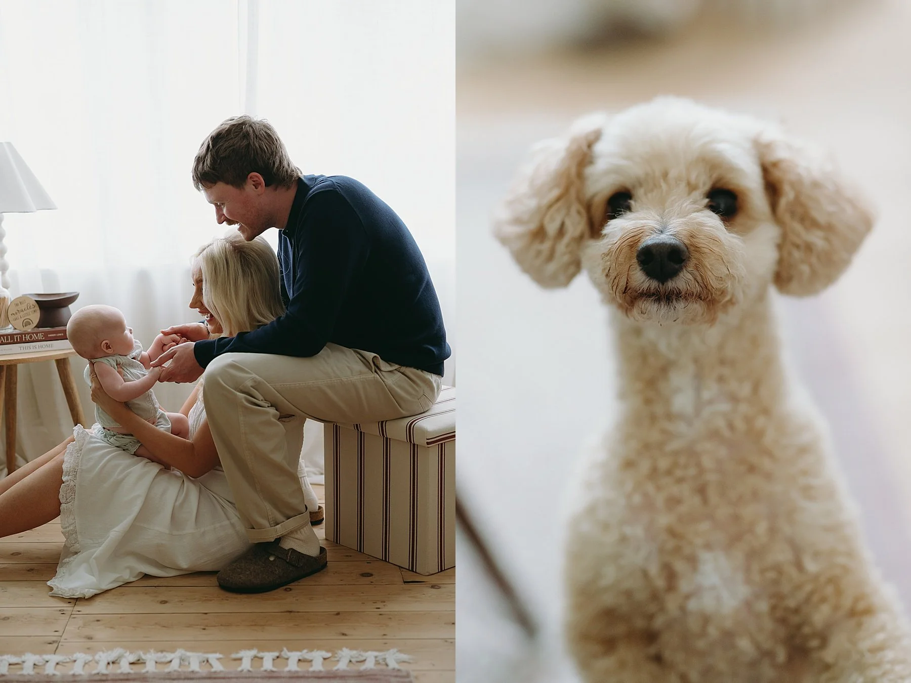 hampshire baby photographer