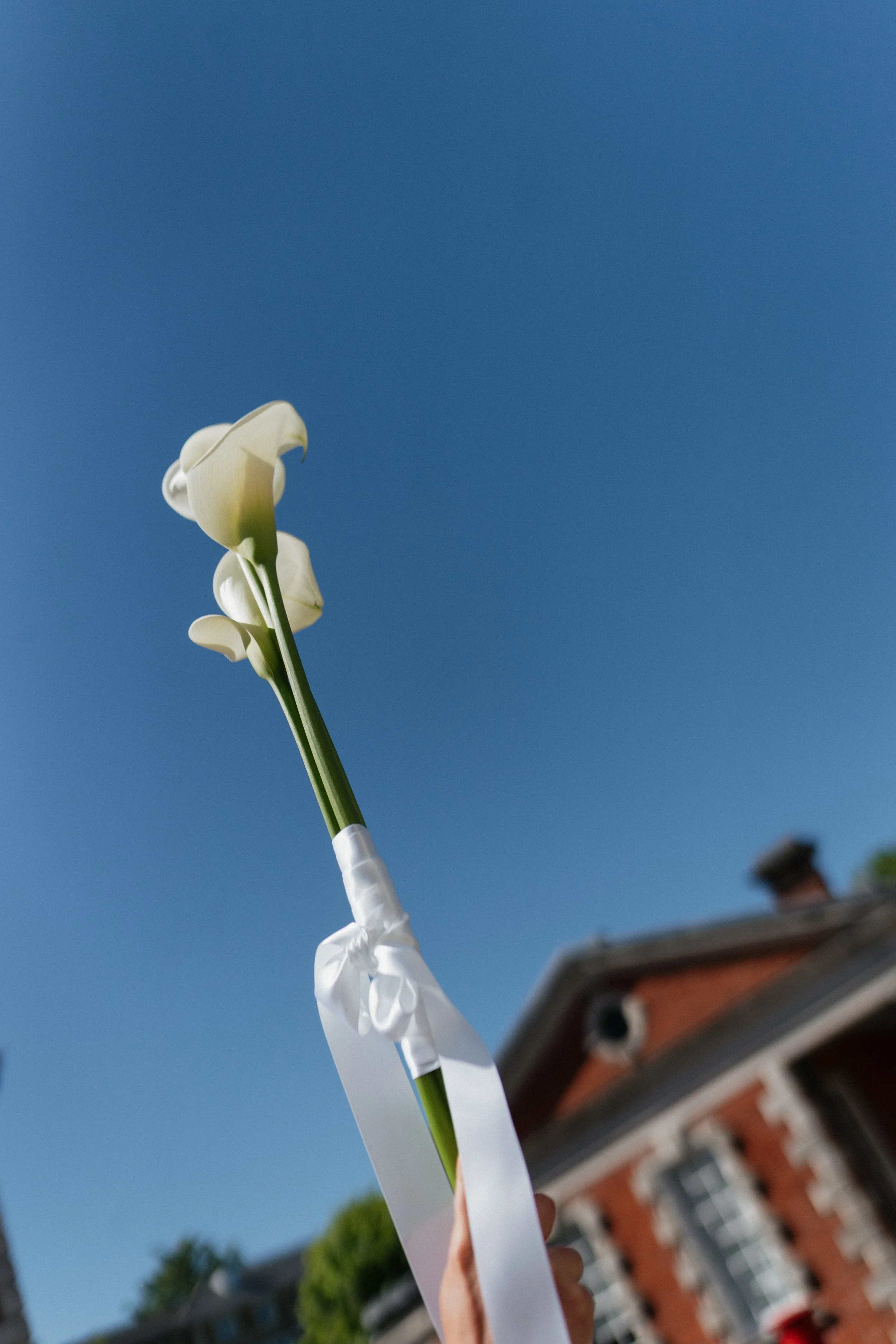 cala Lily wedding bouquet