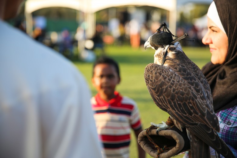 al-ain-falcon.jpg