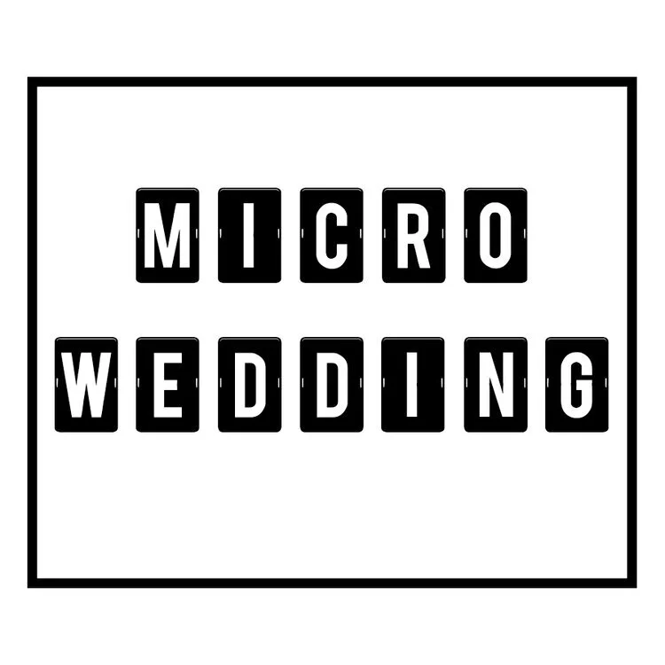 Website-Micro.jpg