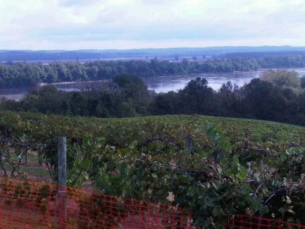 Missouri's Wine Country