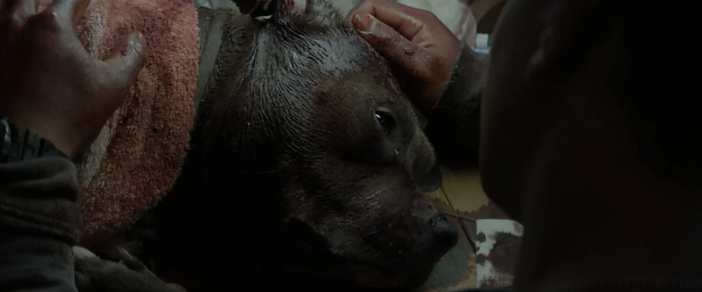 Screen Shot 2021-06-22 at 10.08.38 AM.jpeg