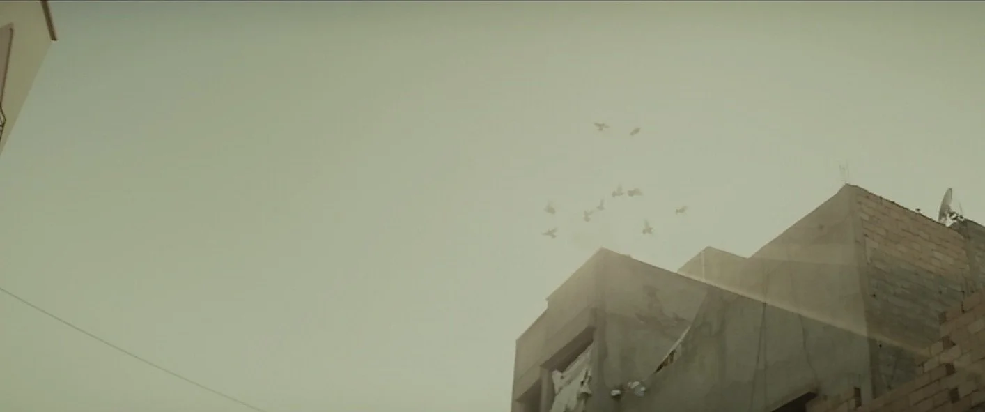 Screen Shot 2021-06-22 at 11.44.22 AM.jpeg