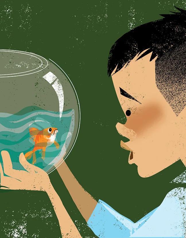 Jimmy and the Goldfish