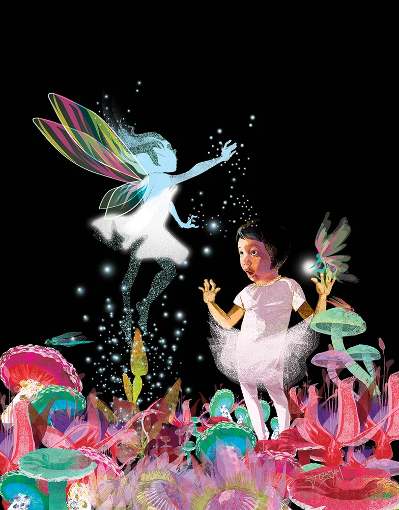 the lost ballerina