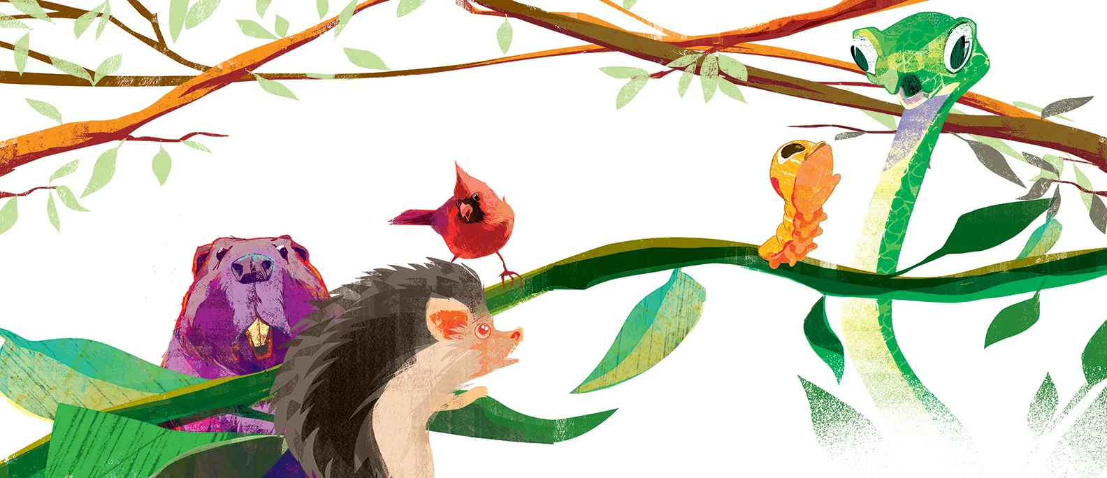 The Snake & the Caterpillar