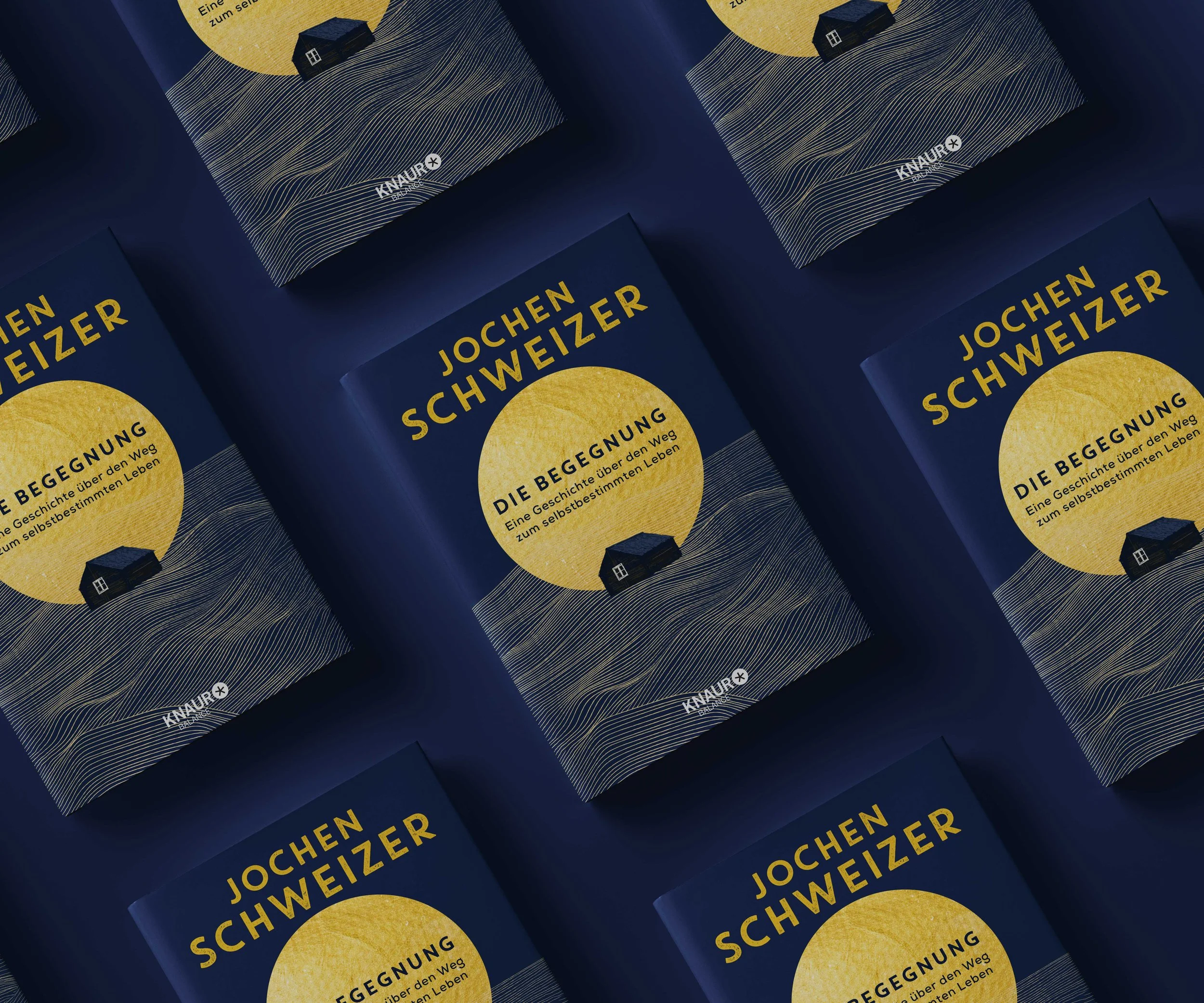 cover_schweizer.jpg