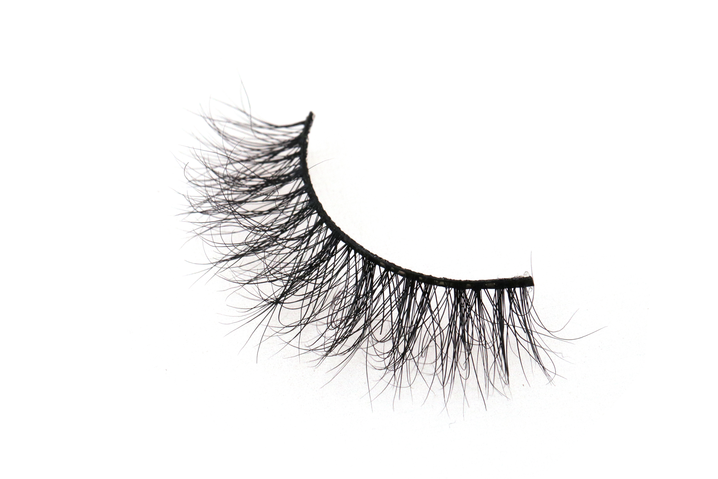 EBAC8EF0-A4C2-4C4C-8E83-F4749D7AF568