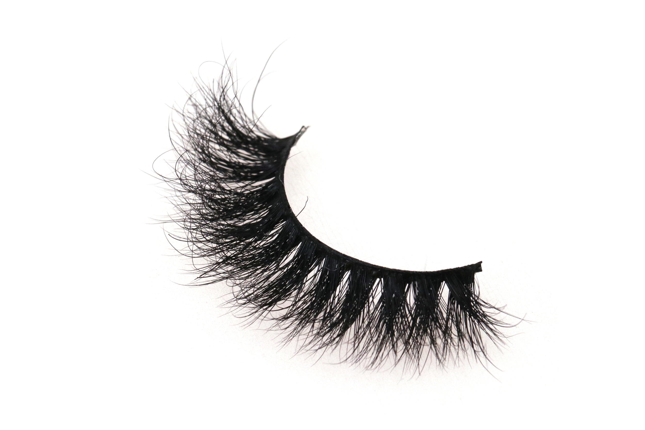 7A84B38B-9006-4CE8-951A-D556FF6D0FF2