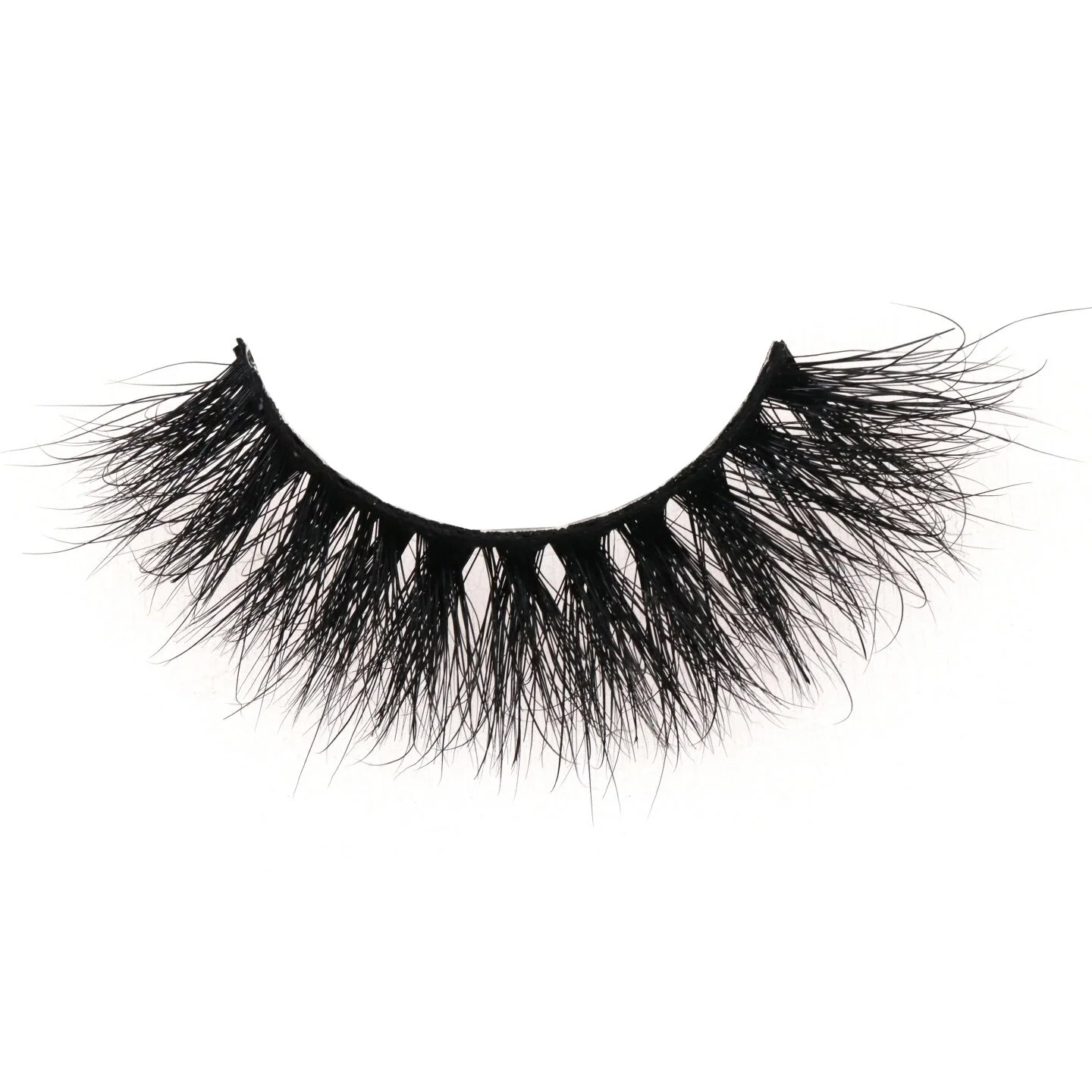 9151DC33-AE2F-4B9B-90A1-2F51F0AADD55