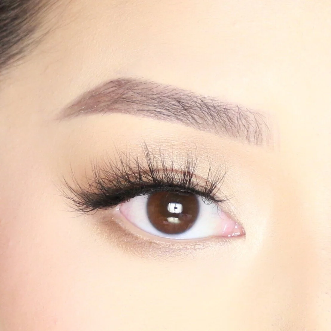 701C340E-0151-466D-9C0F-EB5E28AF7EF2