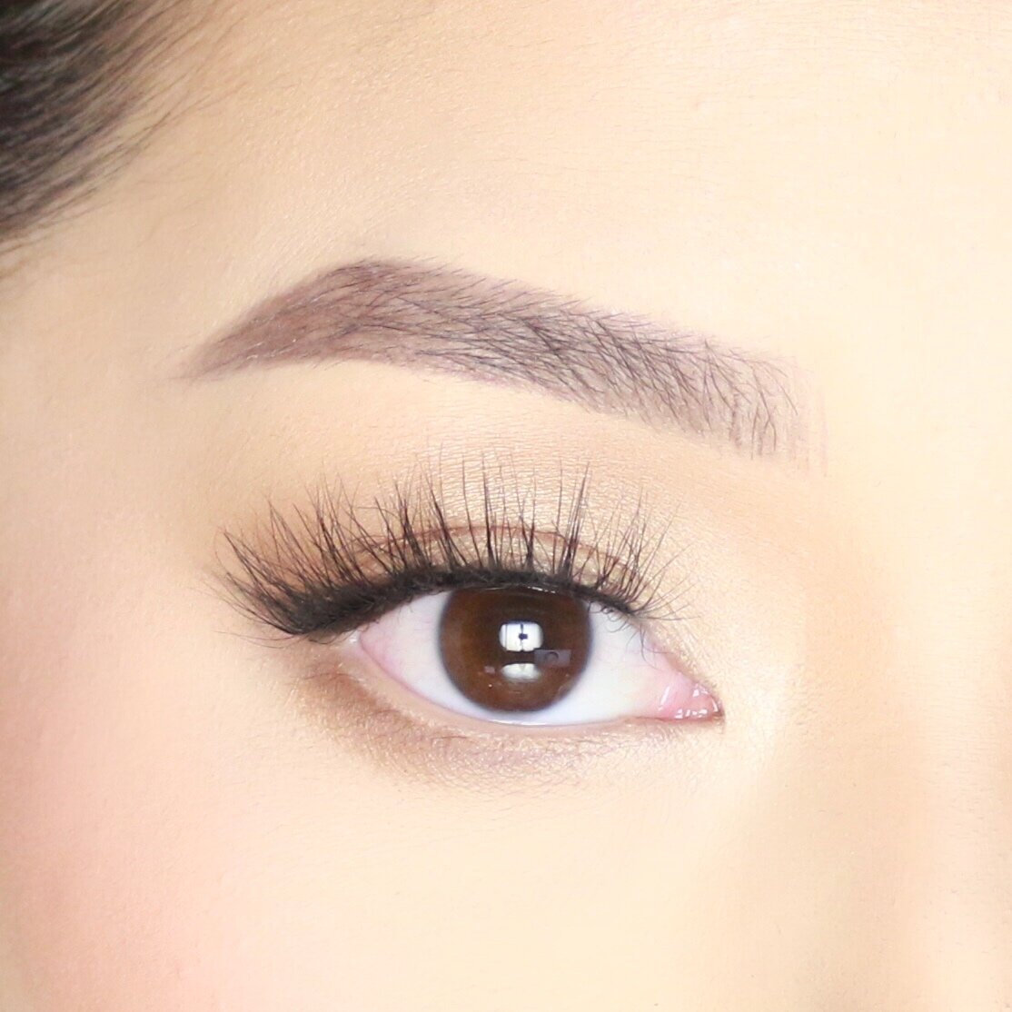 7F1B6E83-7E07-4C1D-A3CF-7FDF54260941