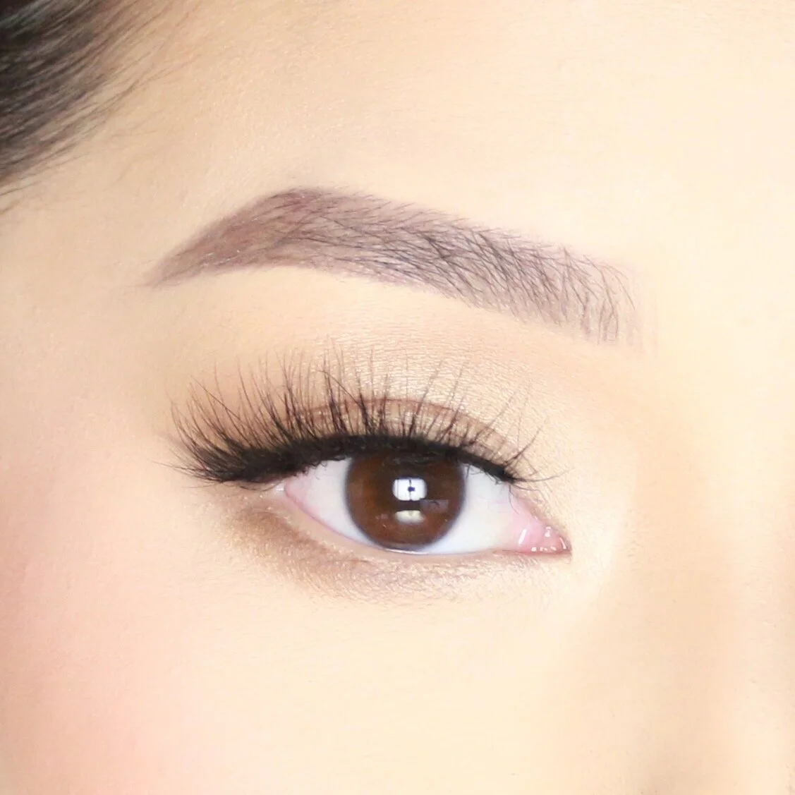 A5C29A5F-5FA1-4840-B47E-42B5489D3B05