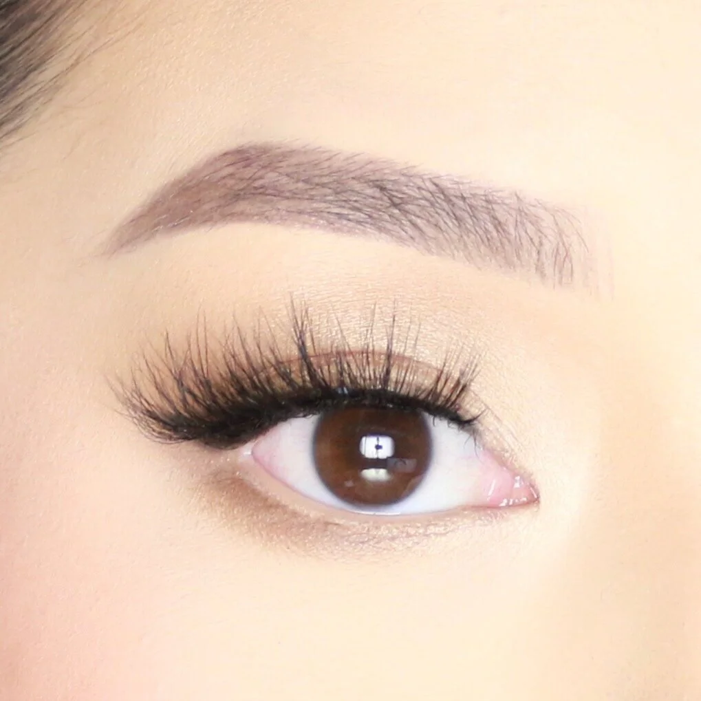 FA5887B1-E3BF-49A6-A18C-D902F6F87257