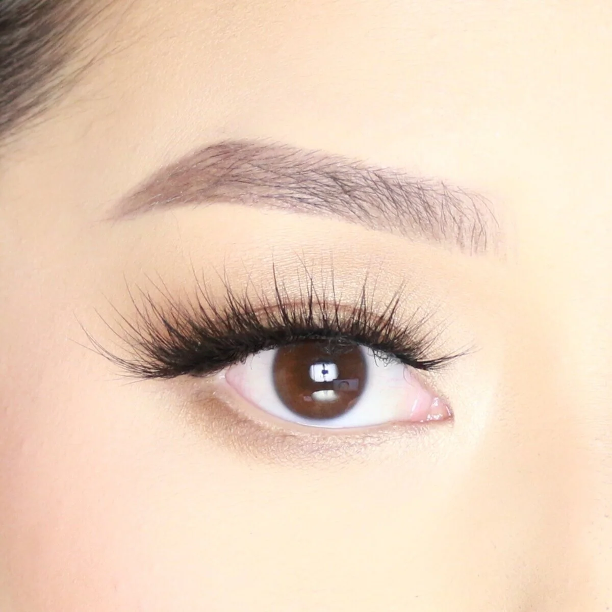 CBDE6331-0754-4041-A8EA-121BAA921C23