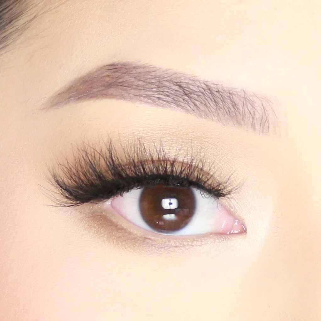 42E95F43-87A0-4E1D-8599-E730BFD038ED