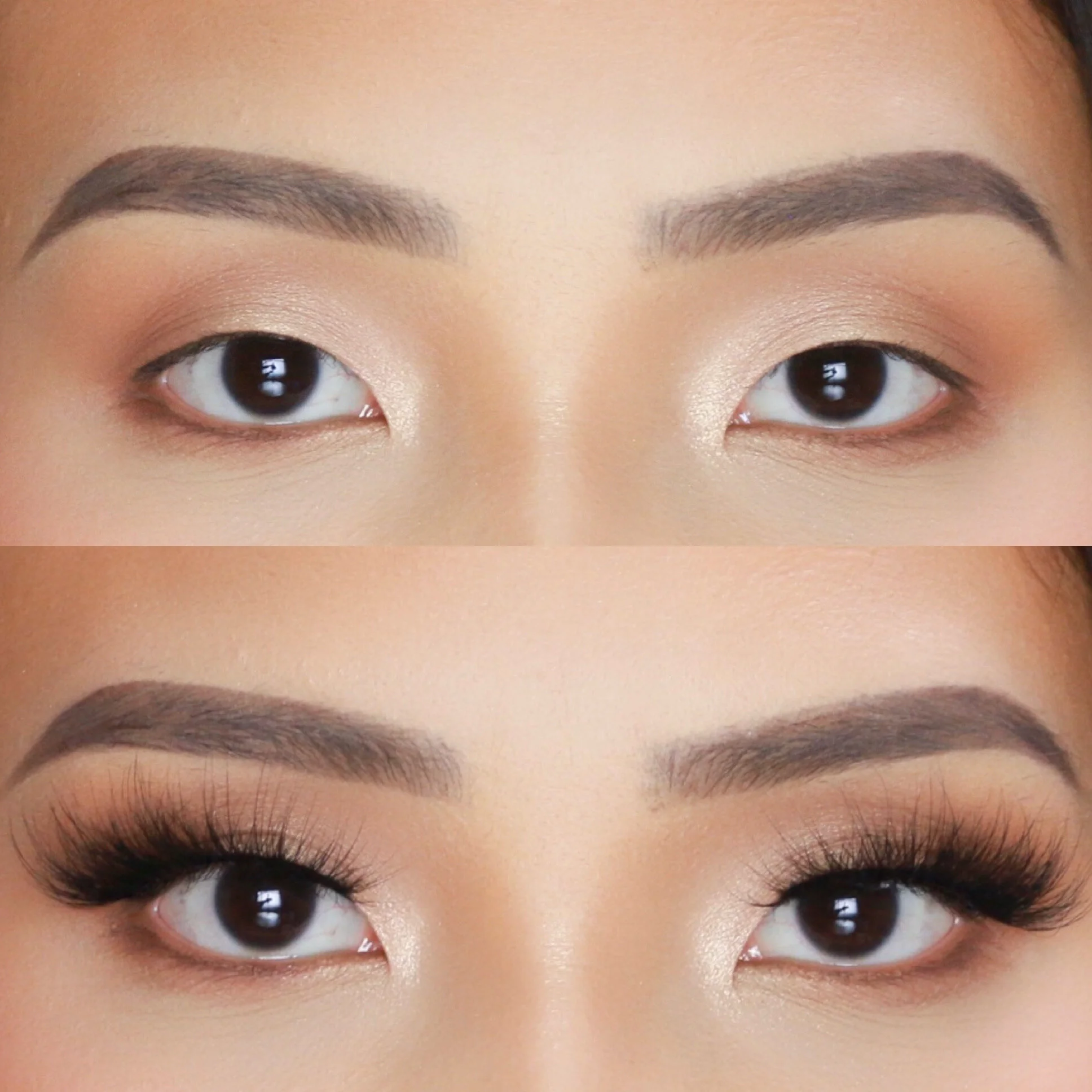 C70B8335-F3C9-41AB-A5FB-4A0B3C914C61