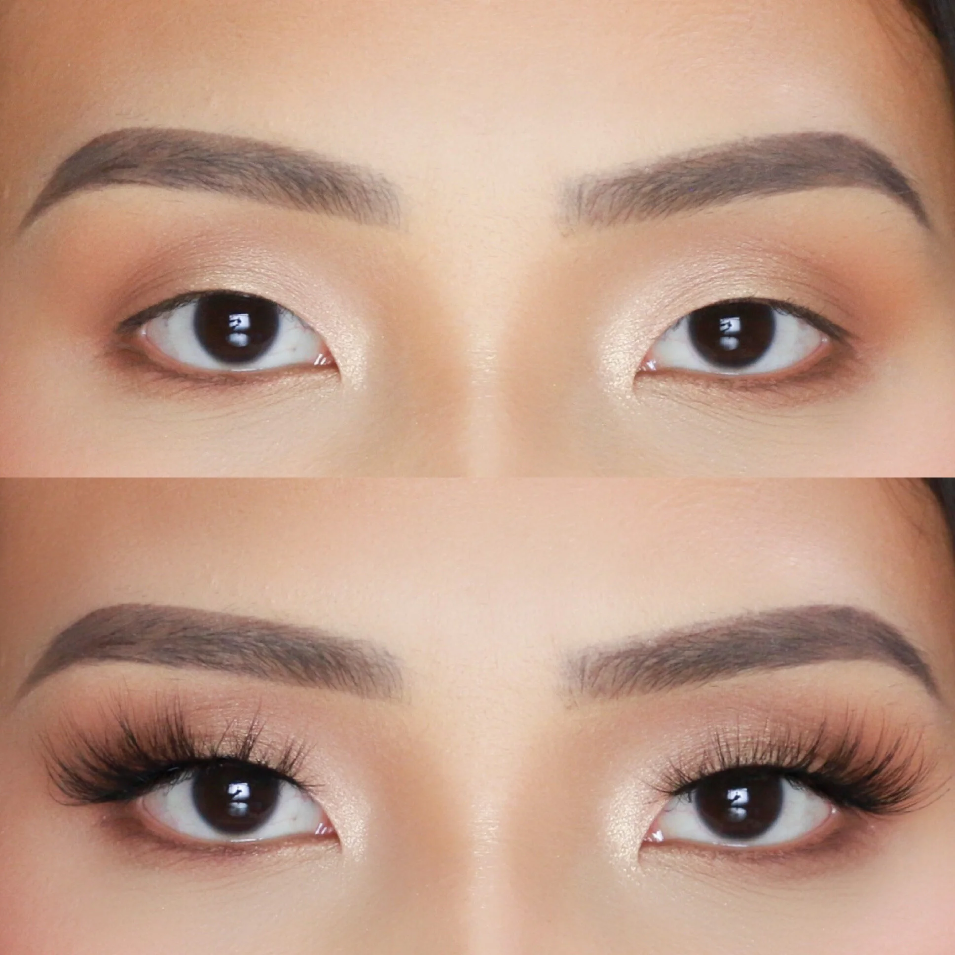 CFA264EF-5961-453E-97F1-5E329F04F2D9