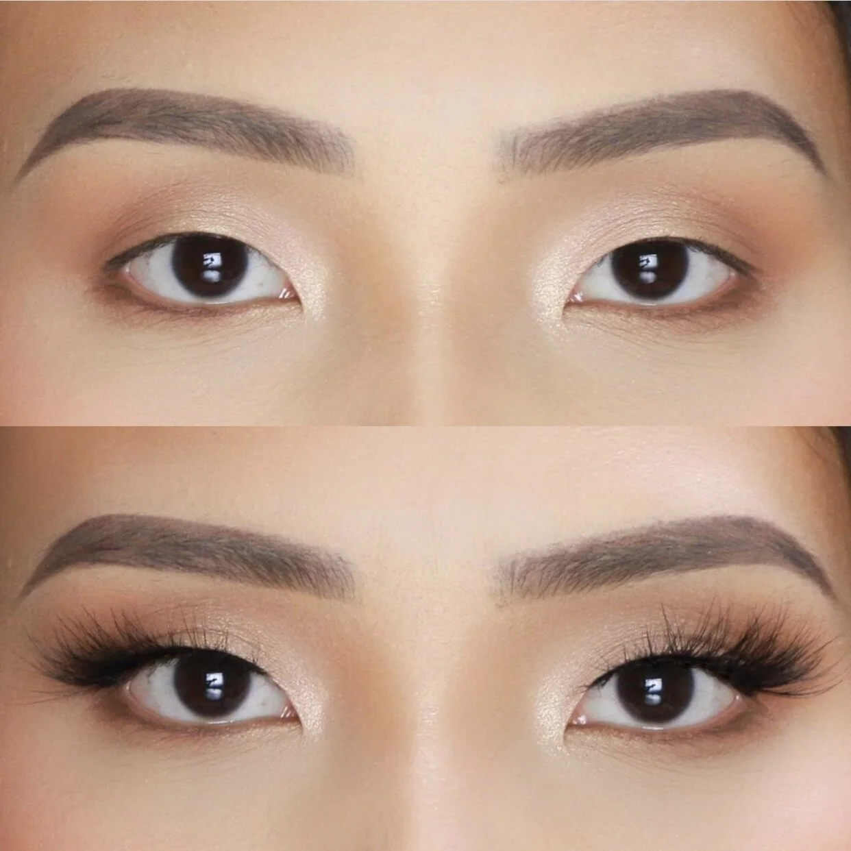 B4755D0D-423E-41BF-8655-78C0C0D24068