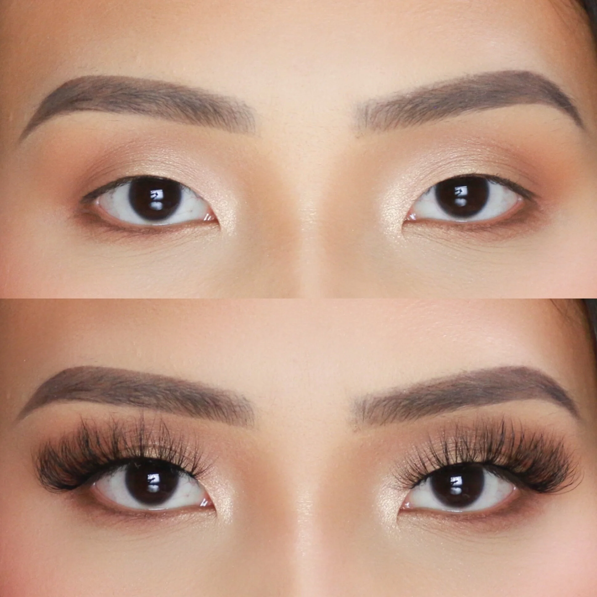 68FB3DEC-7393-46F7-A461-379F2BC77EC4