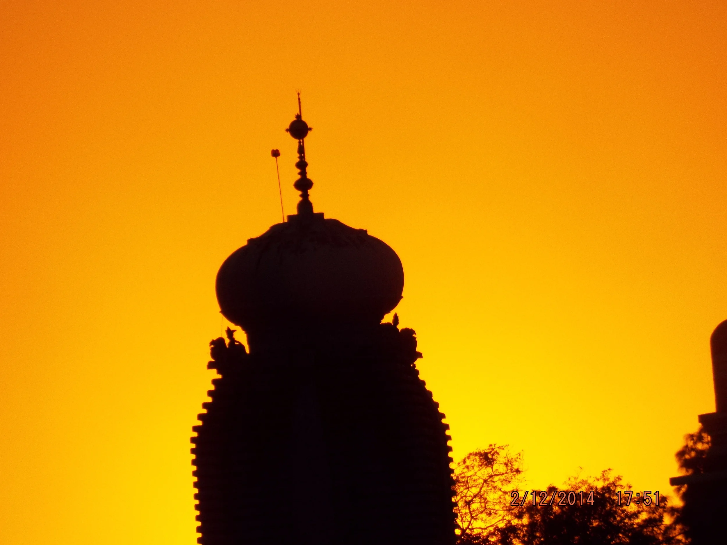 DSCF0539.JPG