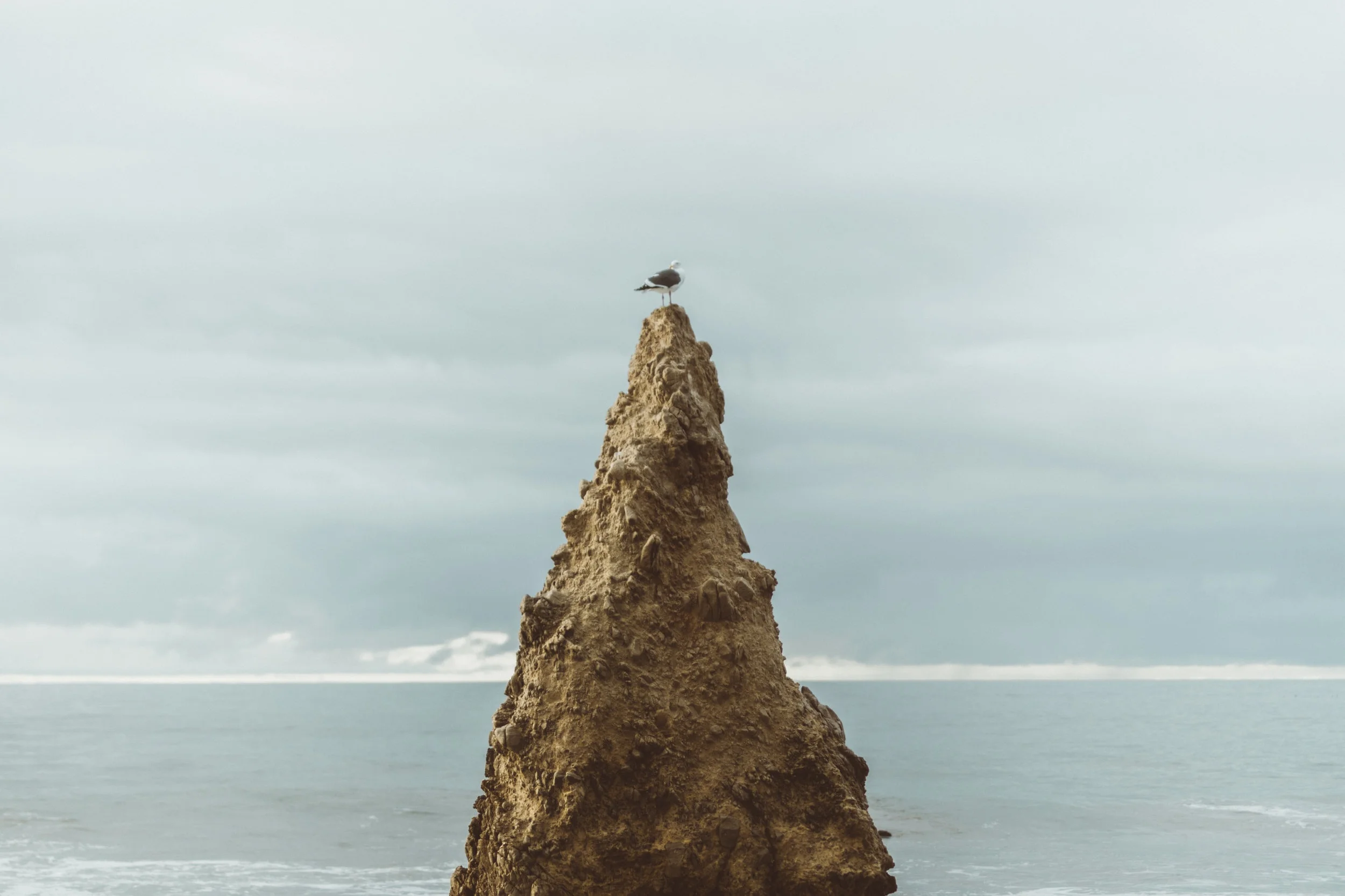 edited.jpg