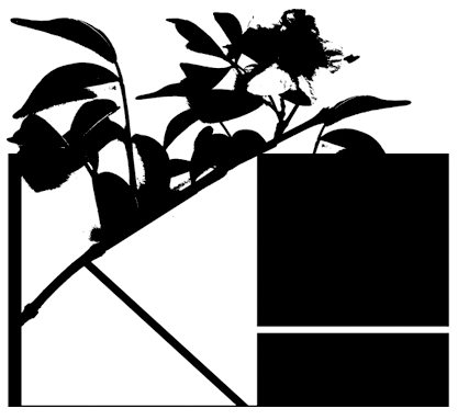 logo_1.jpg