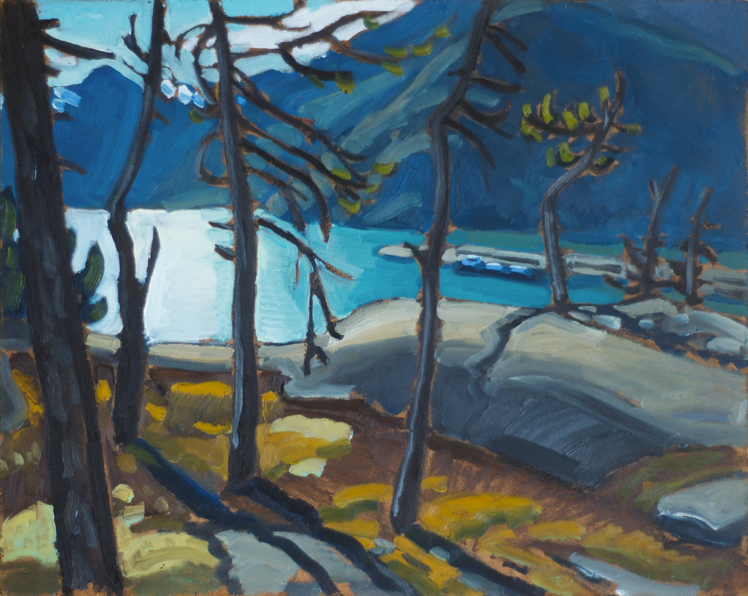 AGB - 2025.05.24 - Howe Sound through the trees, Squamish.jpg