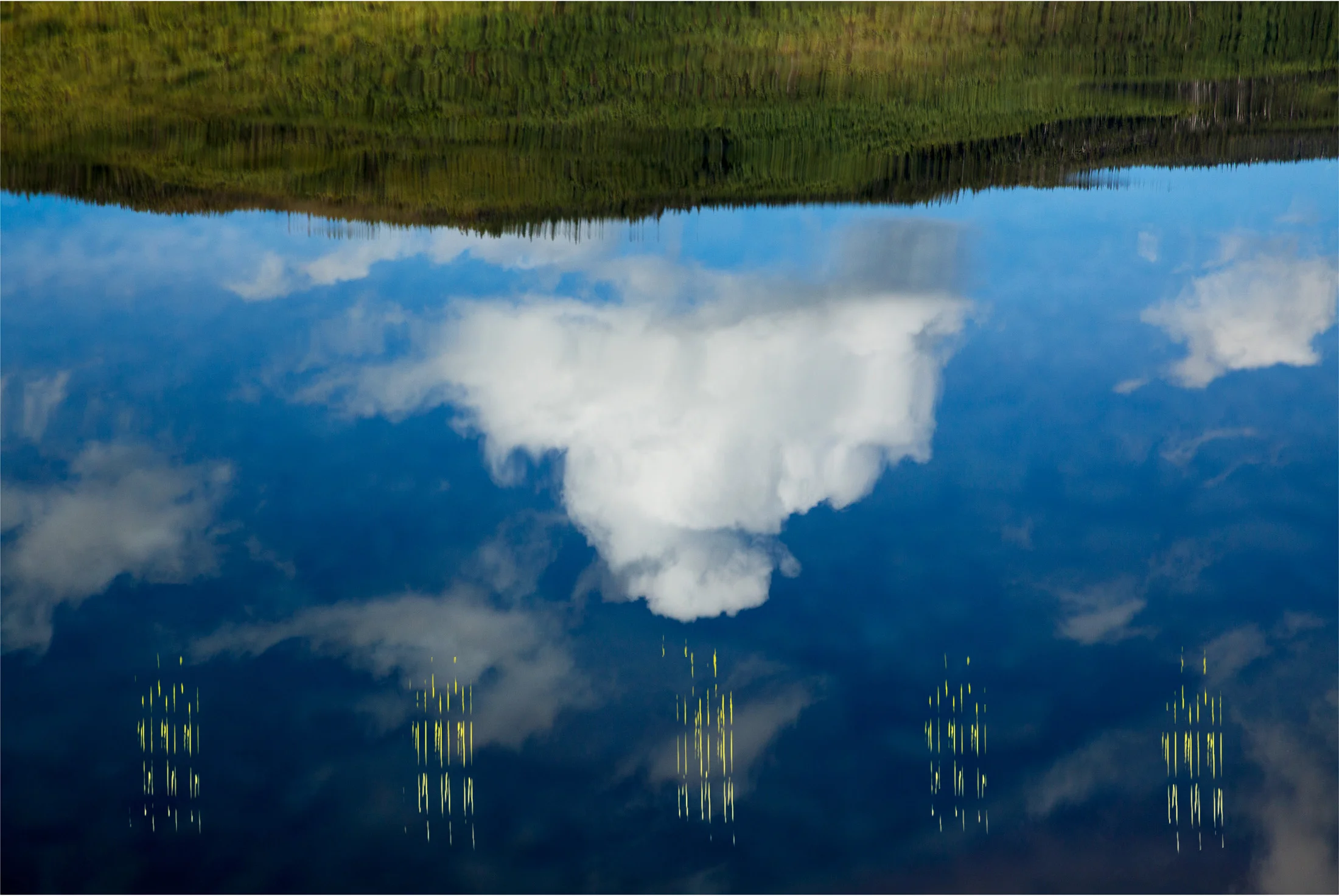 lake reflection, birdsong
