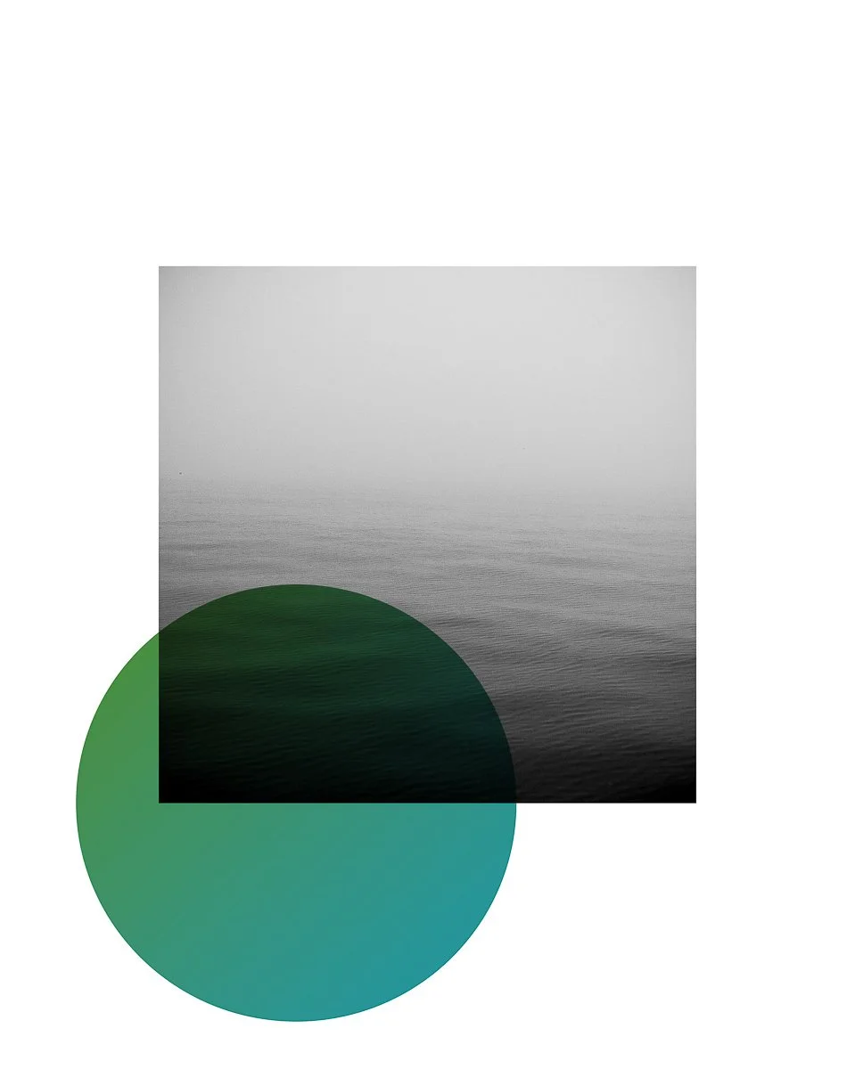 dibble_now-to-living_12.jpg