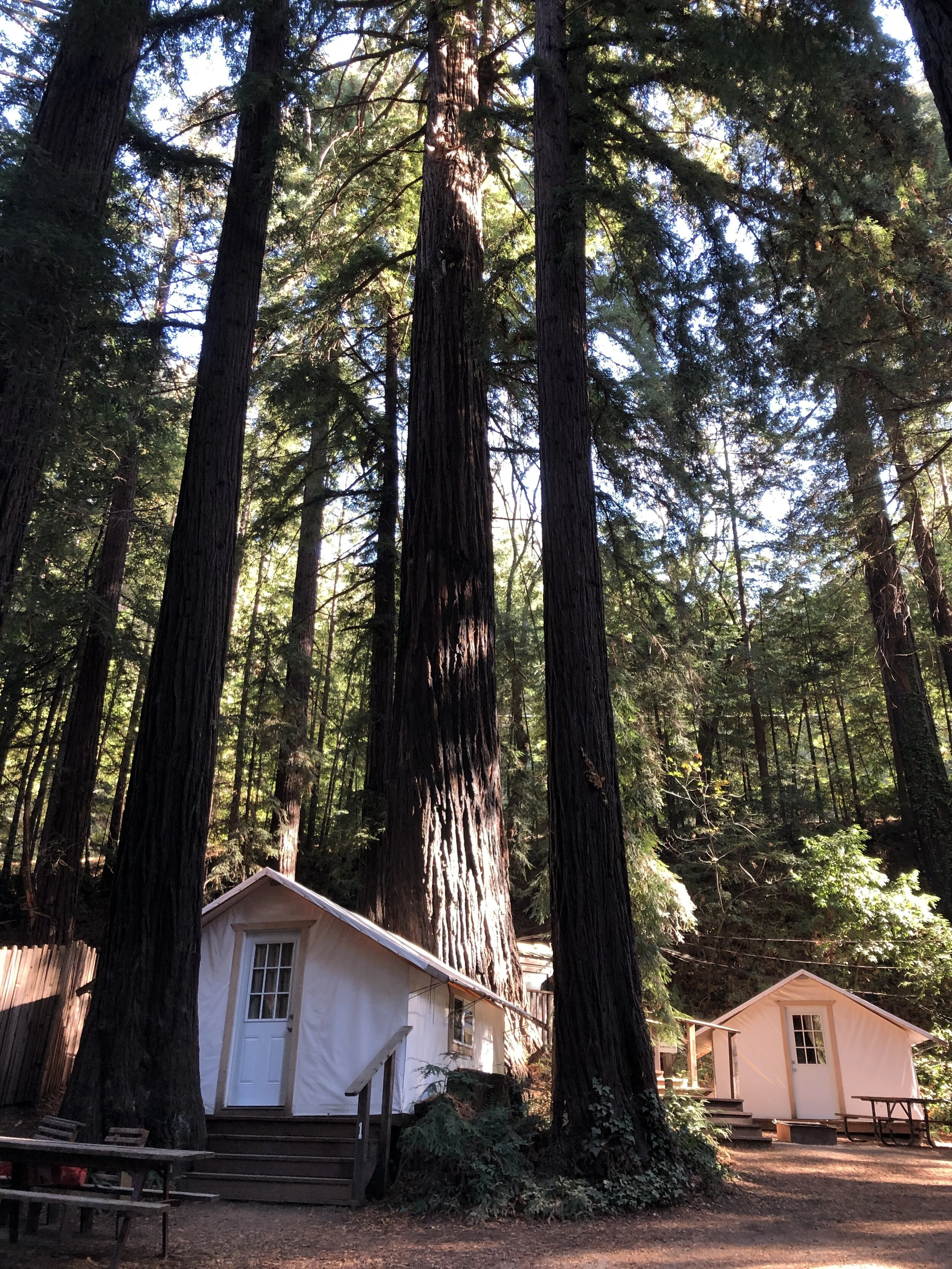 Fernwood Campground’s Adventure Tents