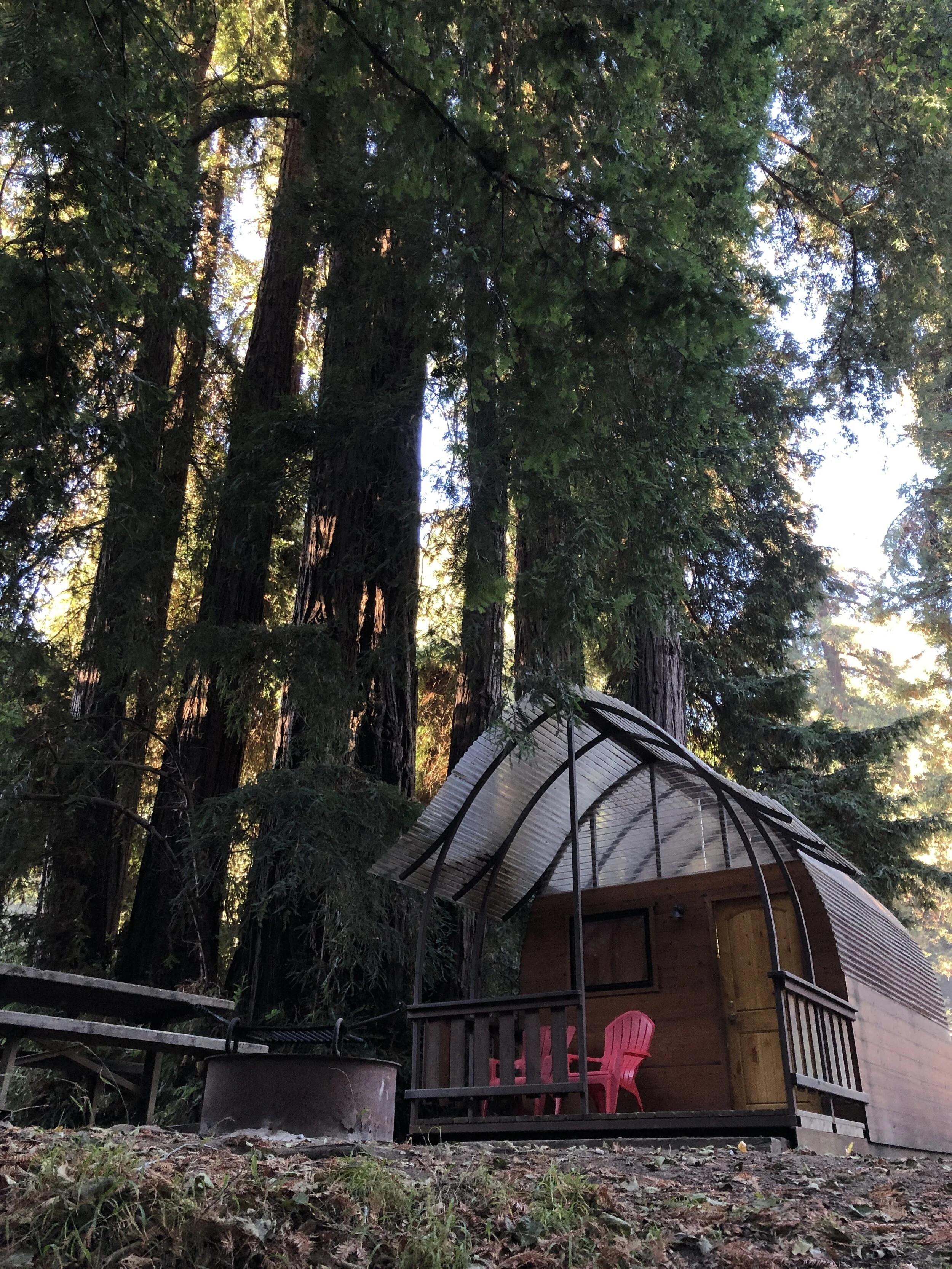 My cabin at Big Sur Camground