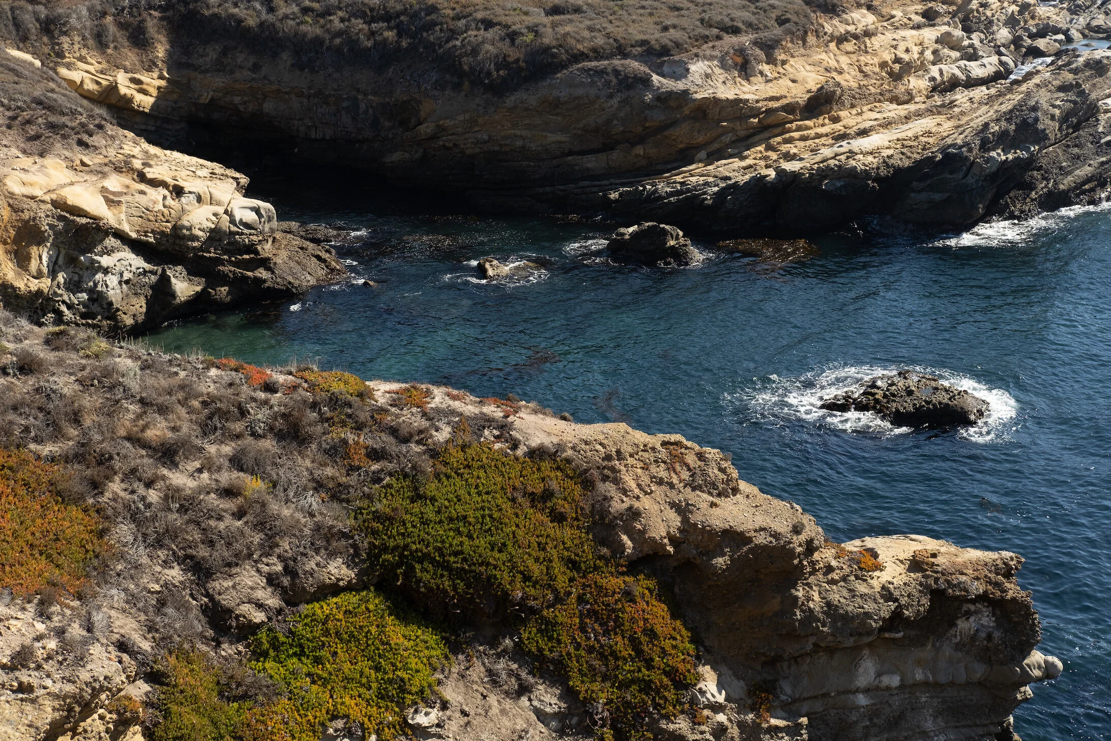Point Lobos
