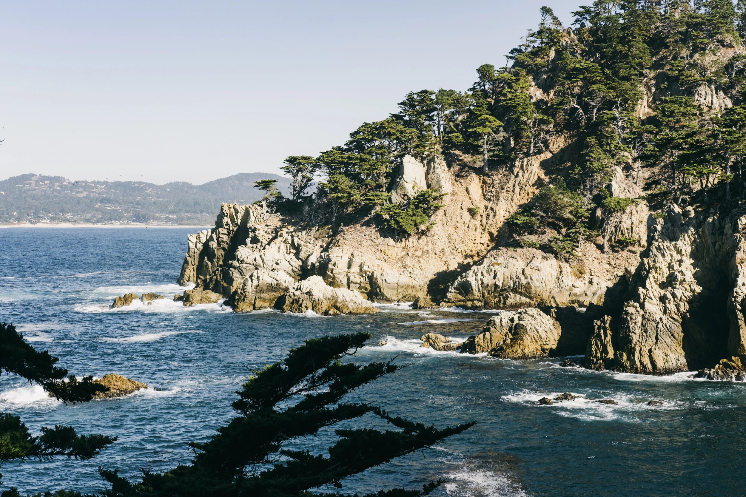 Point Lobos