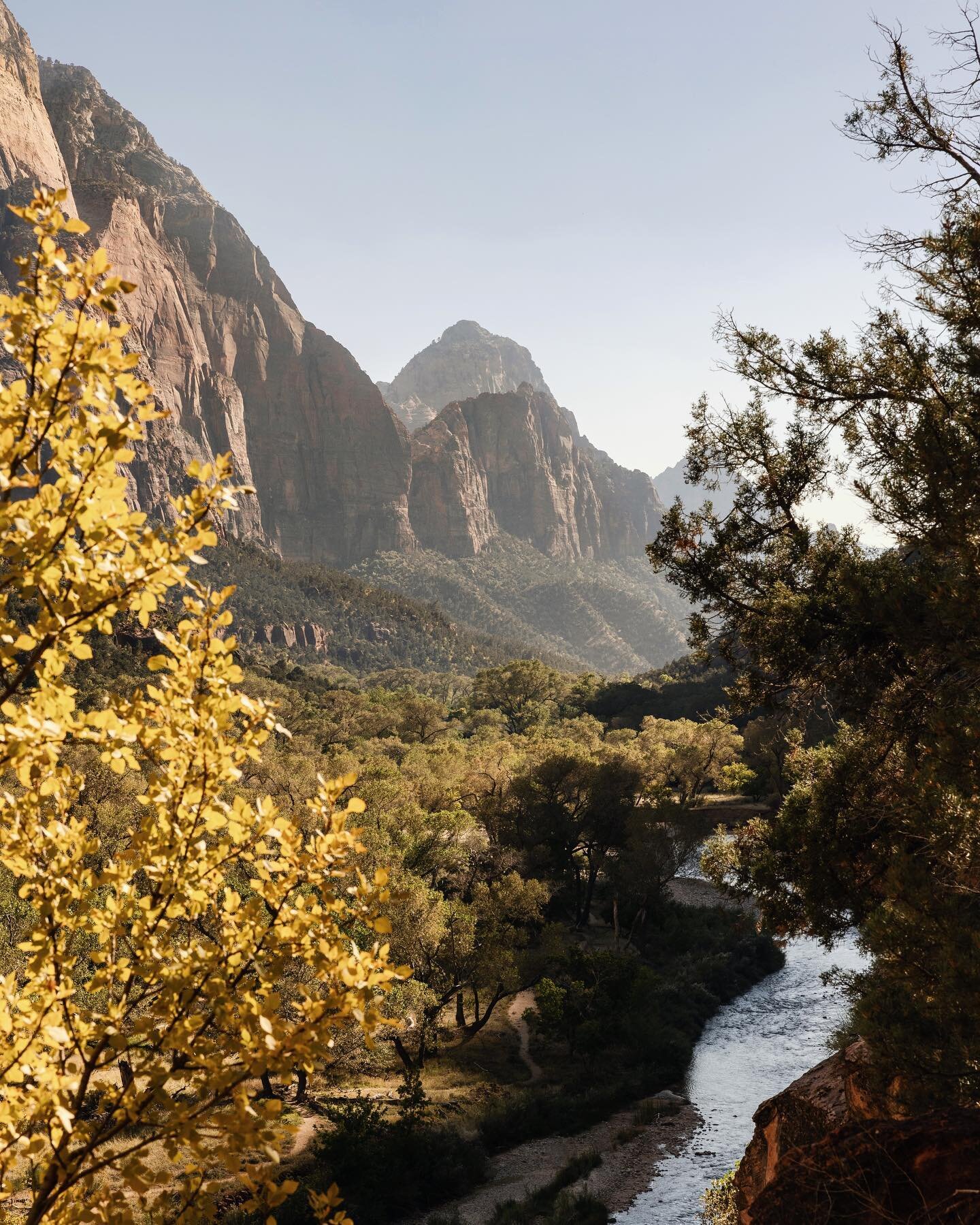 Earlier this week in Zion National Park🤎