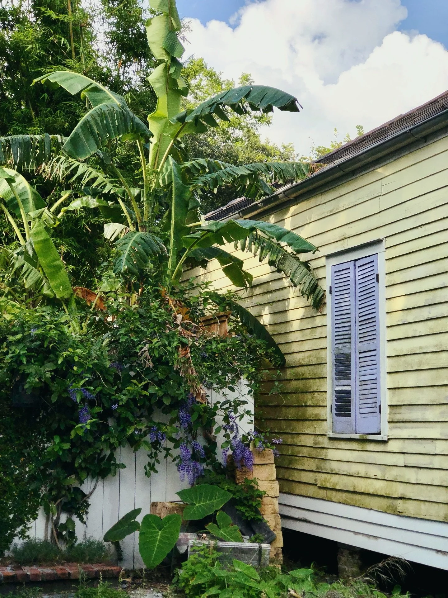 In honor of New Orleans, my home I have fiercely loved and cherished all the days I&rsquo;ve known her.

Being 13 years old evacuating for Katrina, I didn&rsquo;t realize how special New Orleans would be to me until moving into the city as a young ad