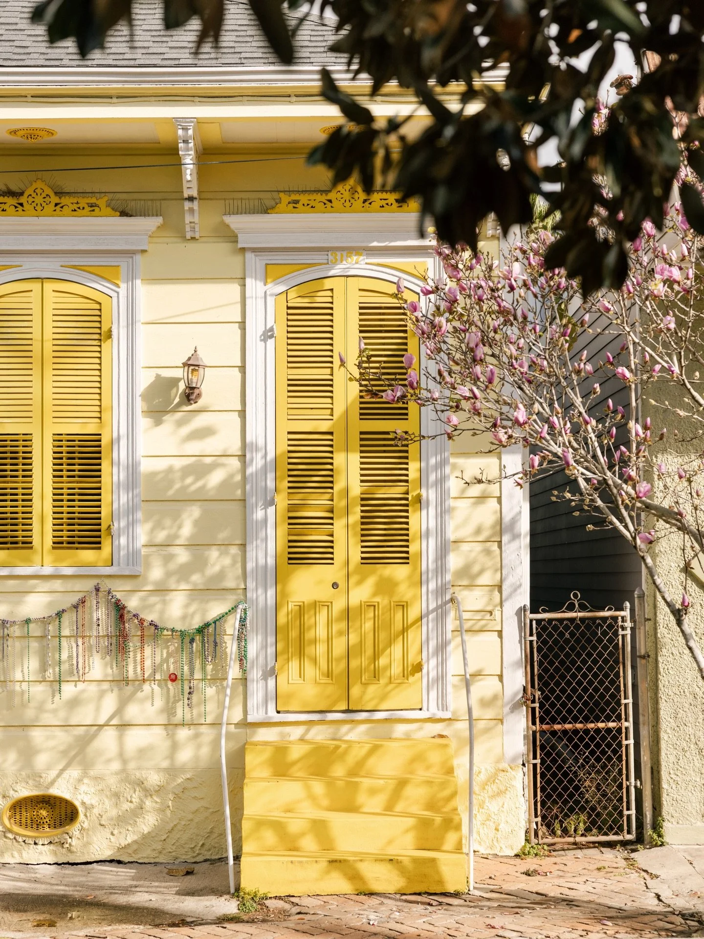 Bywater
1/22/26
💛