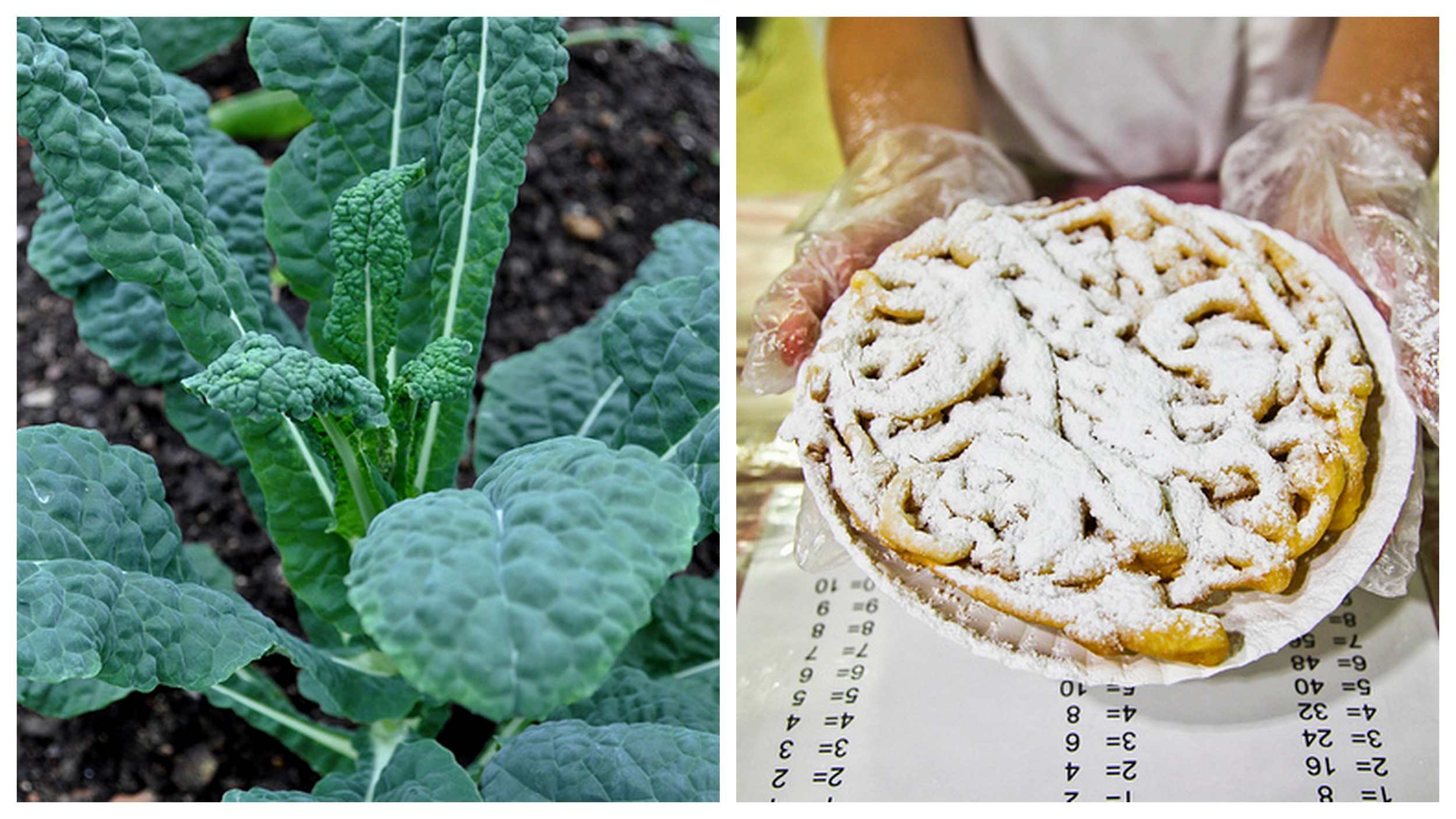 Kale leaves and funnel cake .