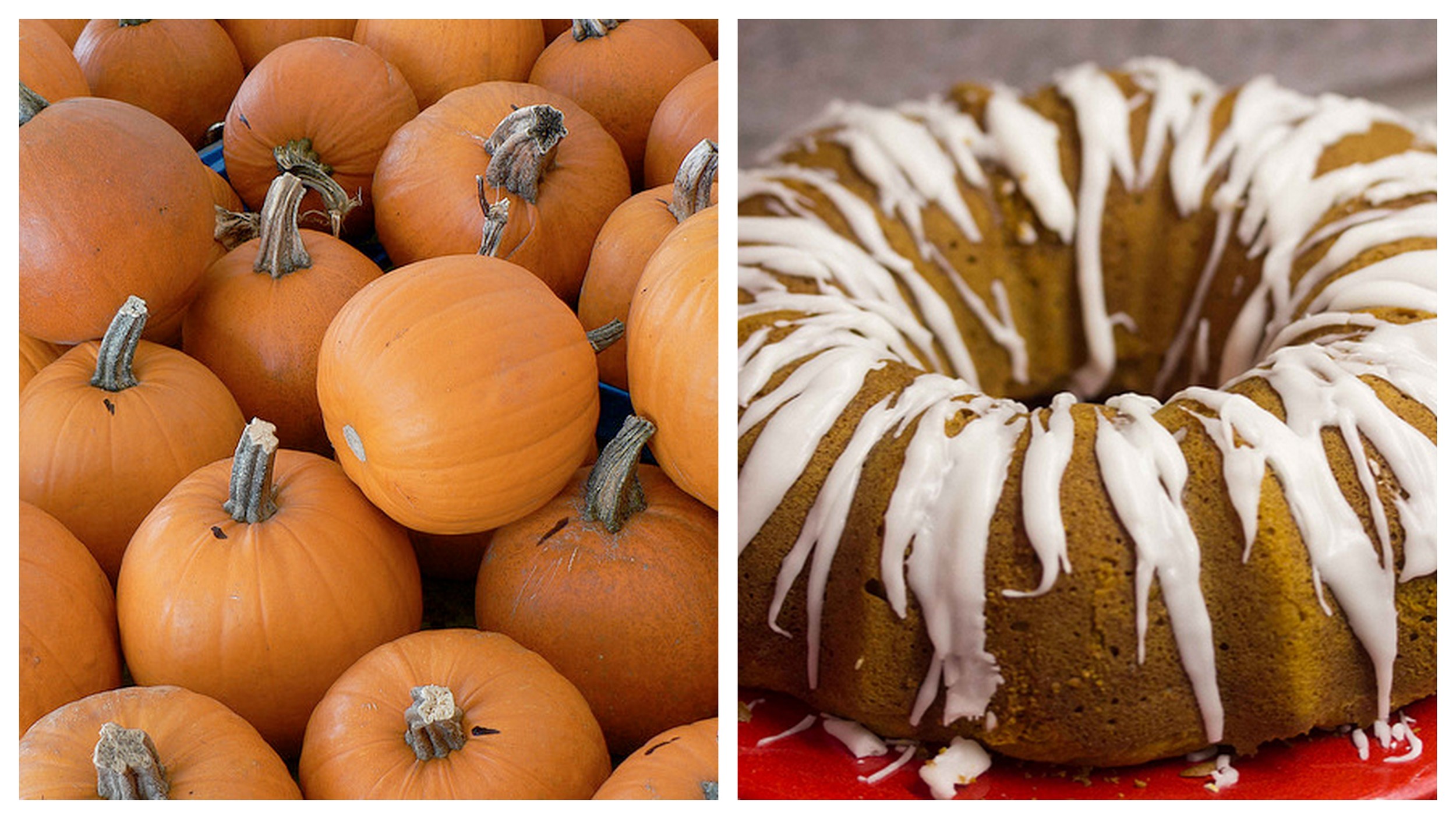 Pumpkin and bundt cake .