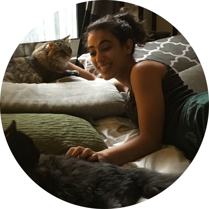 brooklyncatsitting_circles_0001_leanne-v.png