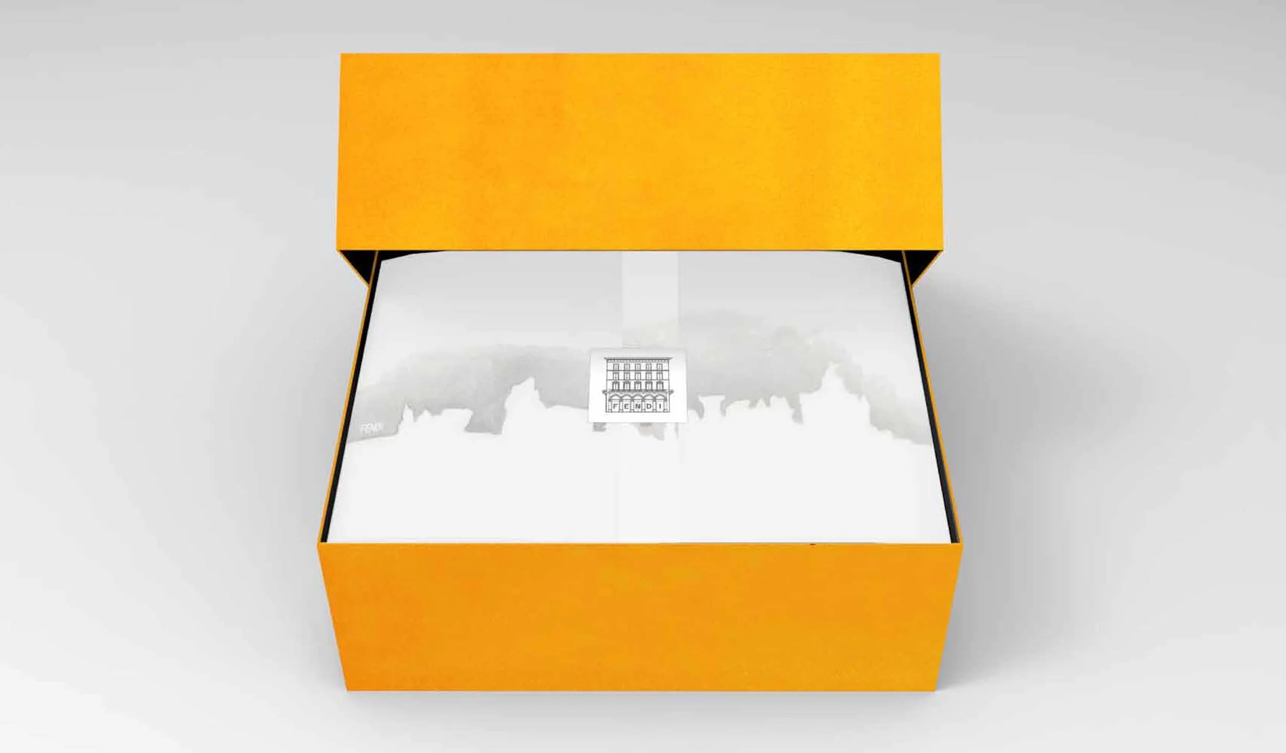 FENDI_Packaging-box.jpg