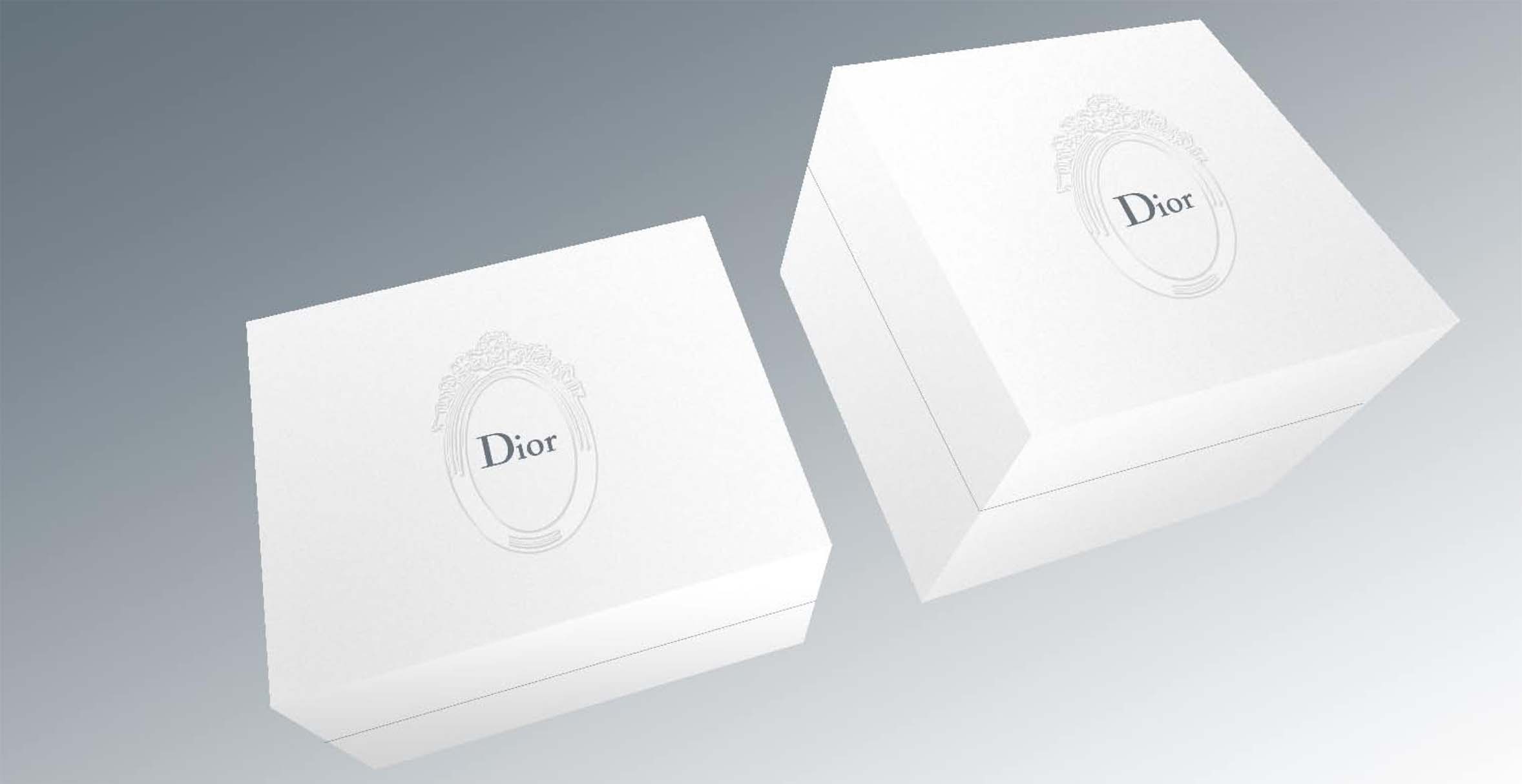 Dior Packaging- Lady Dior