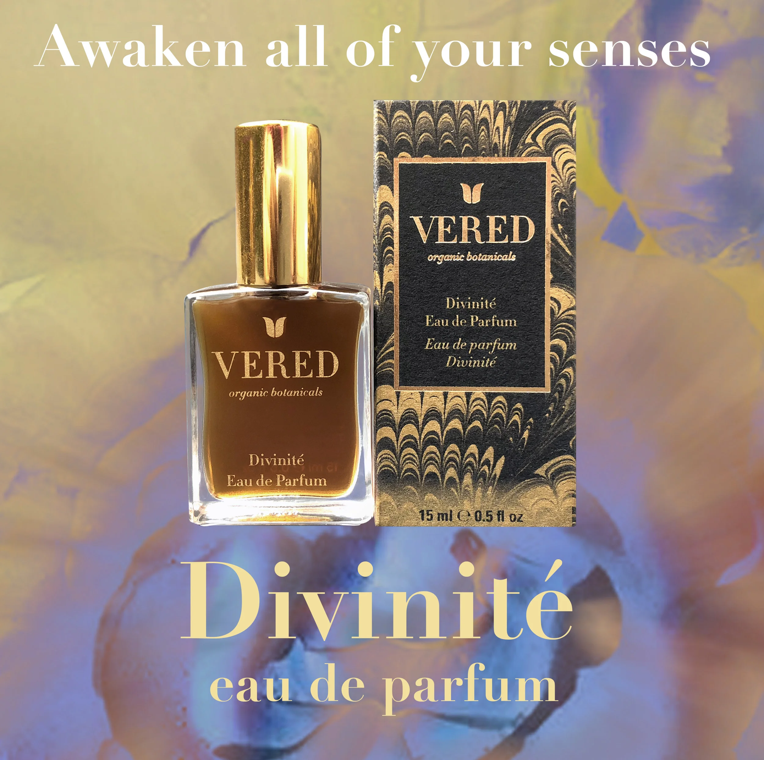 Vered_divinite_instagram.jpg