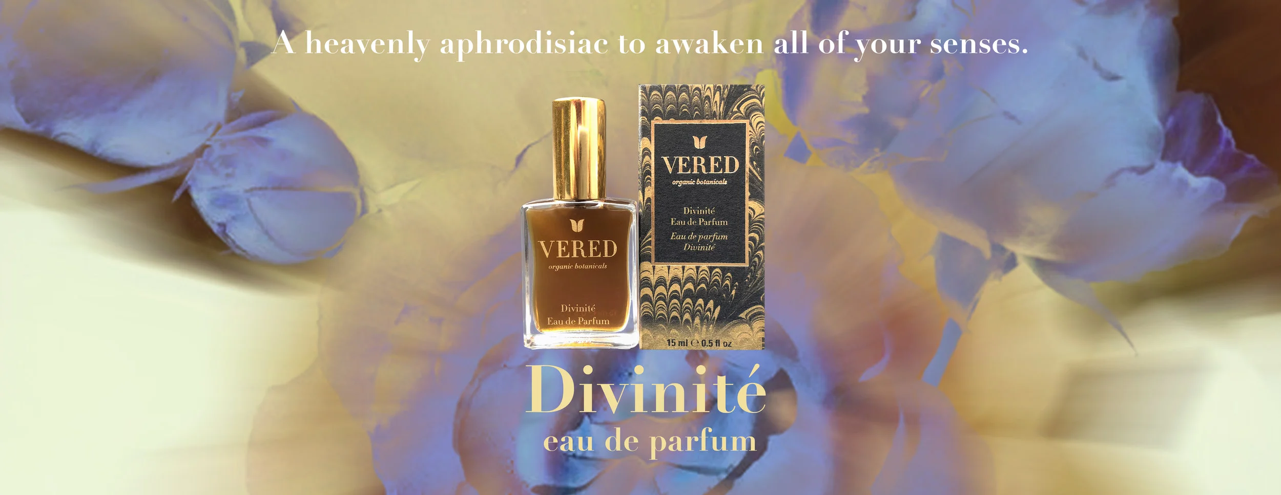 Vered_divinite.jpg
