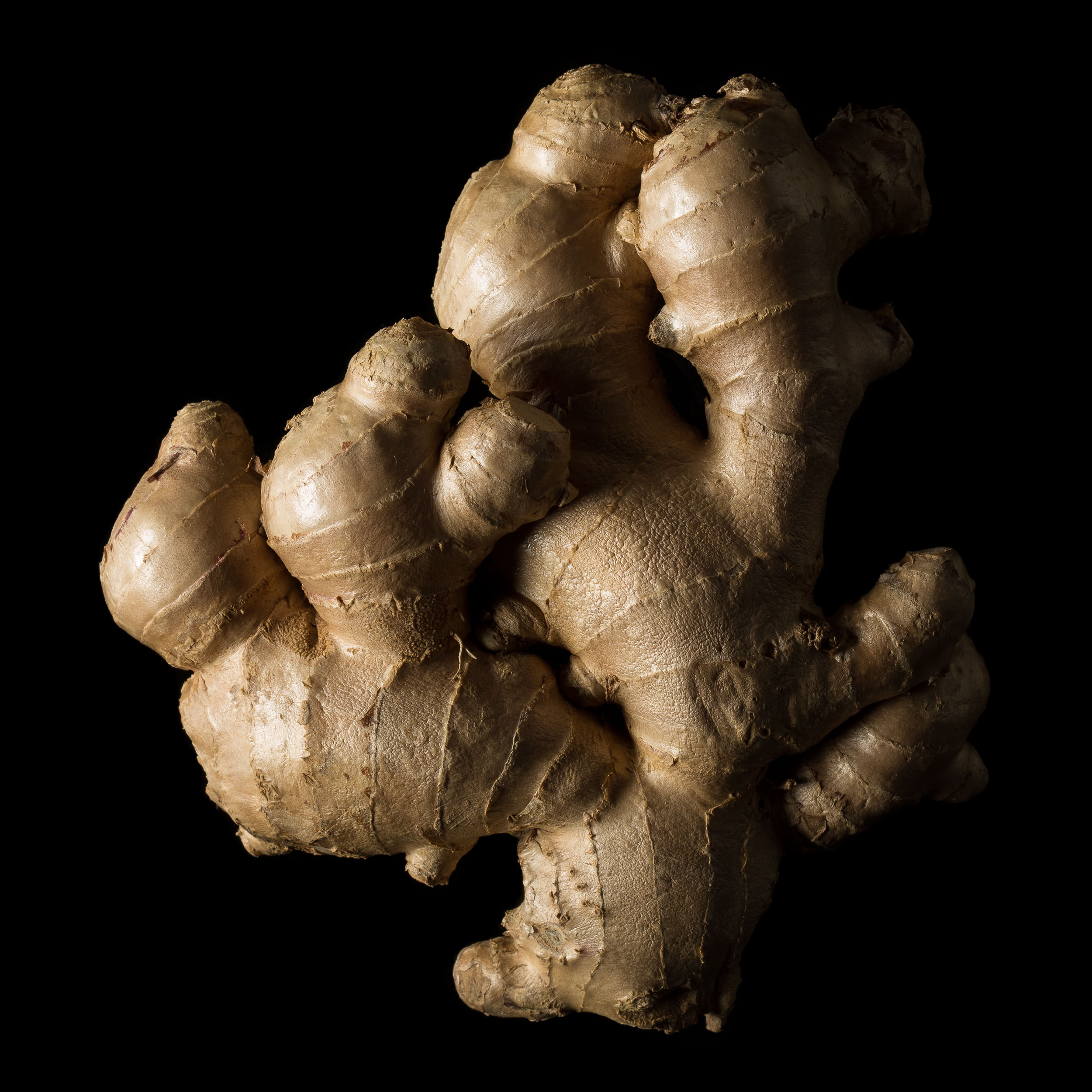 Artistic black and white photo of ginger root