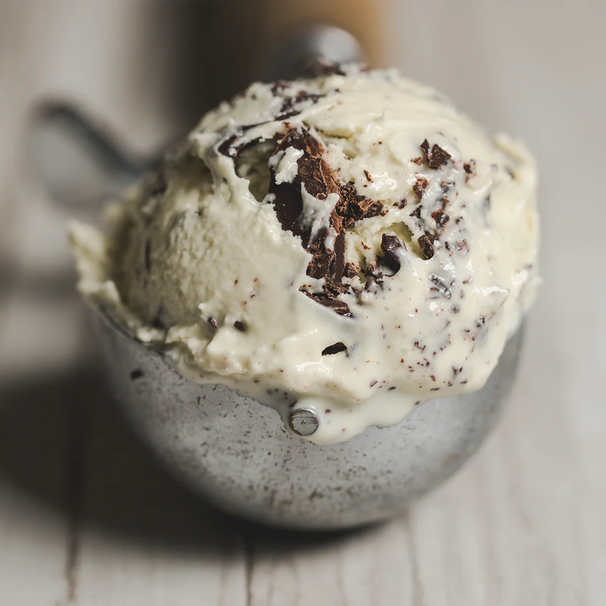 Fresh Mint Chocolate