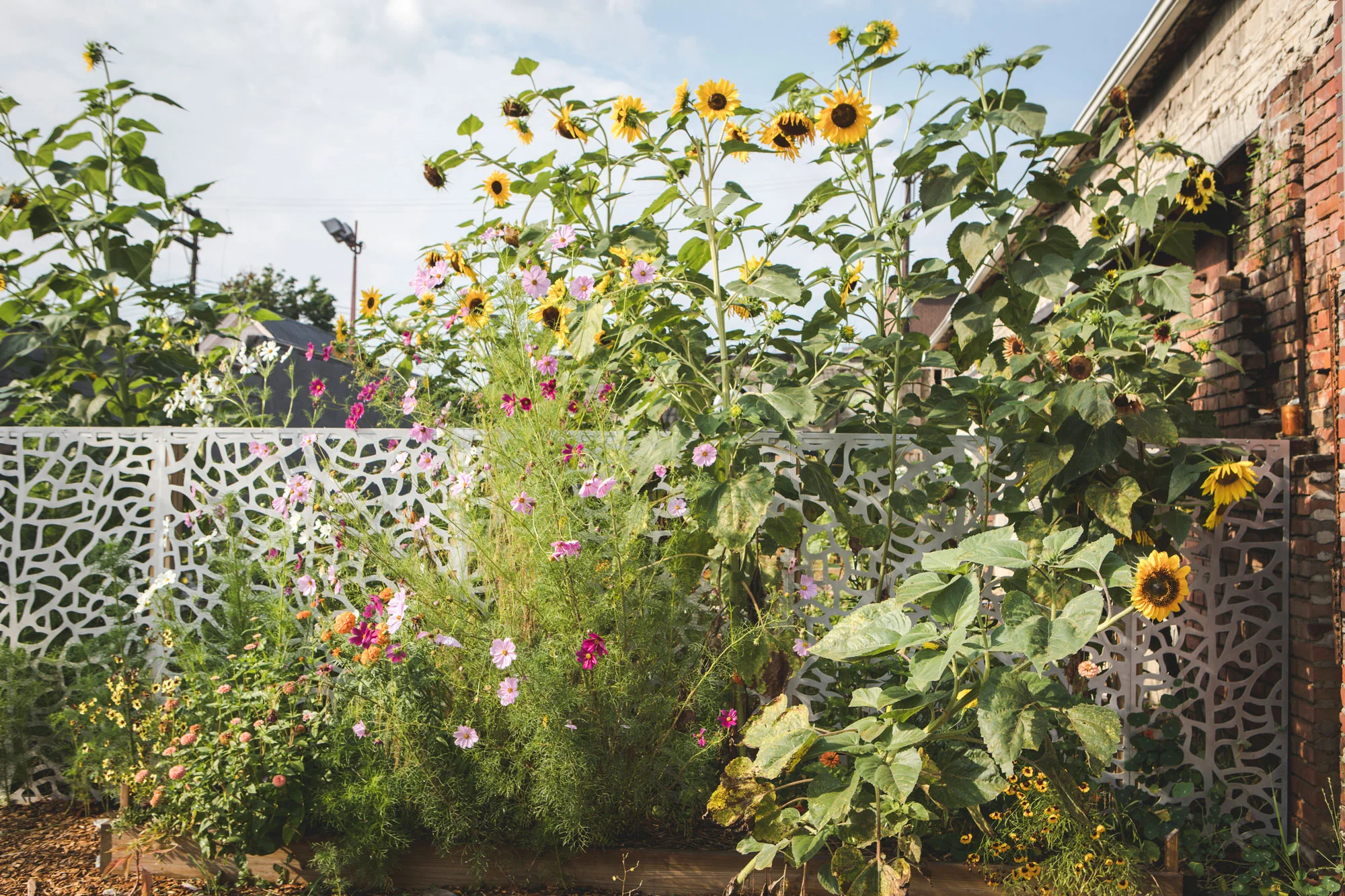 Garden-Flowers.jpg